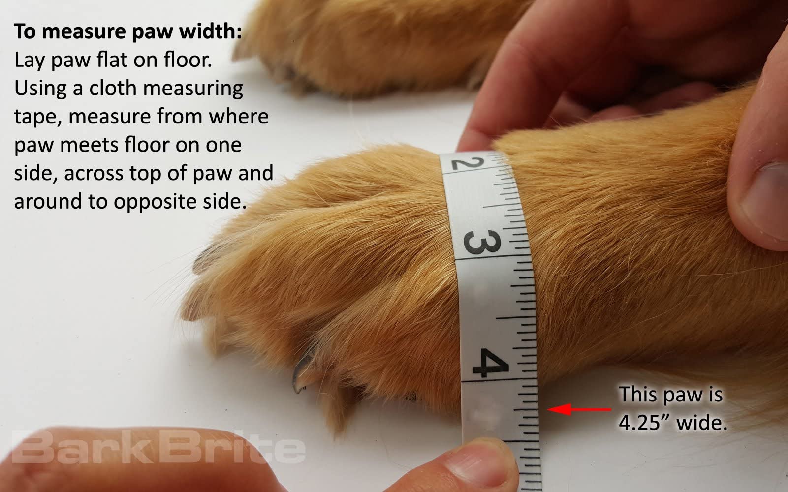 Bark Brite Lightweight Neoprene Paw Protector Dog Boots Designed For Comfort And Breathability In 5 Sizes (Lavender Xxl)