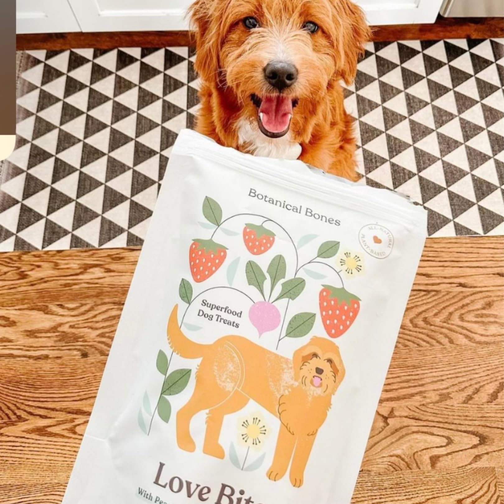 BOTANICAL BONES Love Bites Organic Training Treats for Dogs, Wheat-Free, Vegan Dog Treats, Clean Ingredients, Baked in The USA,