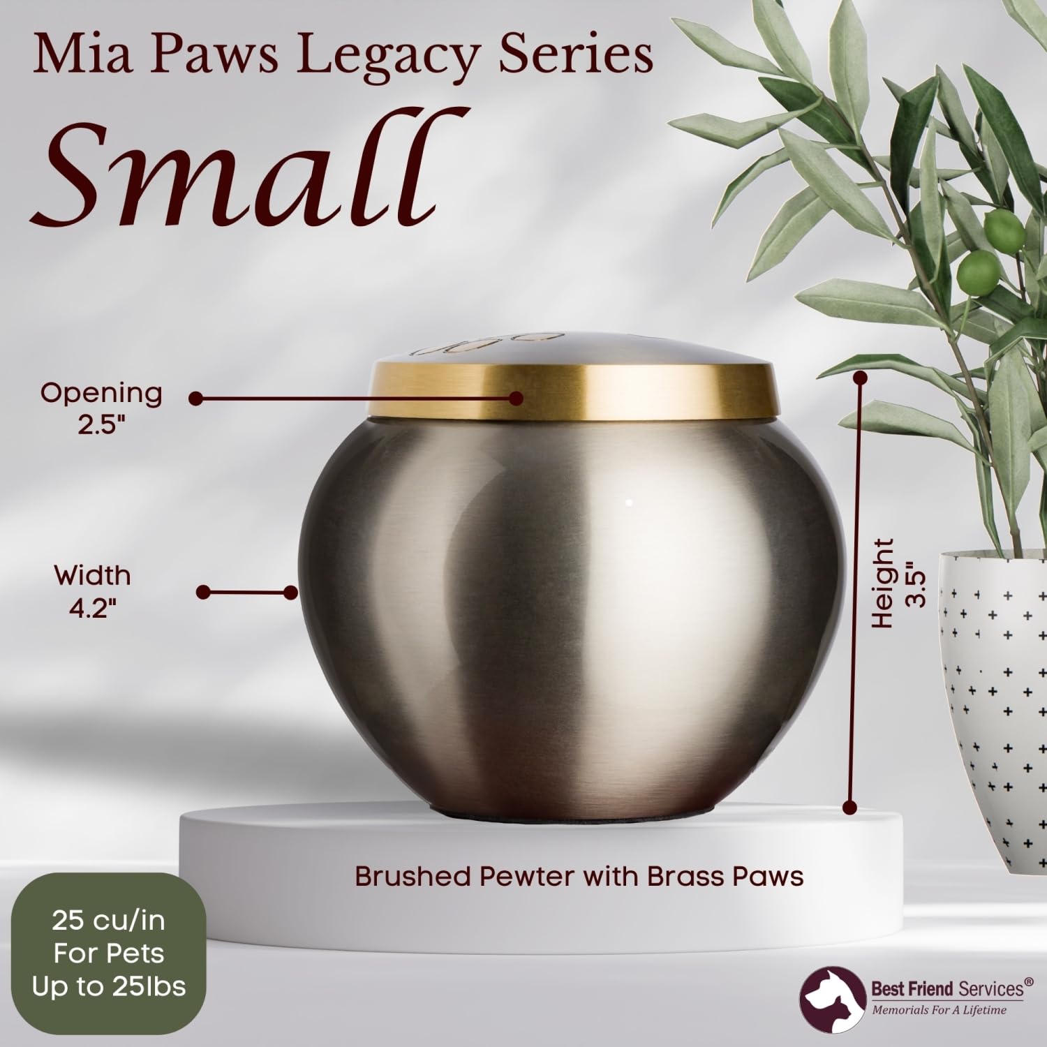 Best Friend Services Pet Urn - Memorial Cremation Pet Urns For Dog And Cat Ashes, Hand Carved Mia Series Urn For Pets Up To 25 Lbs (Small, Pewter, Double Brass Paws)