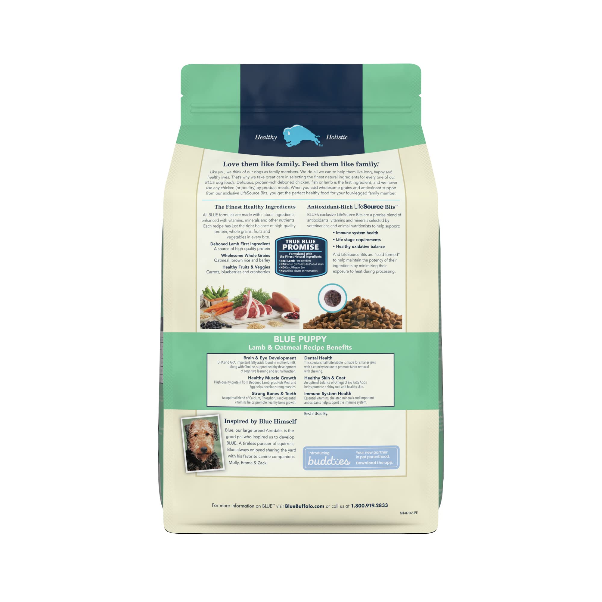 Blue Buffalo Life Protection Formula Puppy Dry Dog Food with DHA and ARA, Made with Natural Ingredients, Lamb & Oatmeal Recipe,