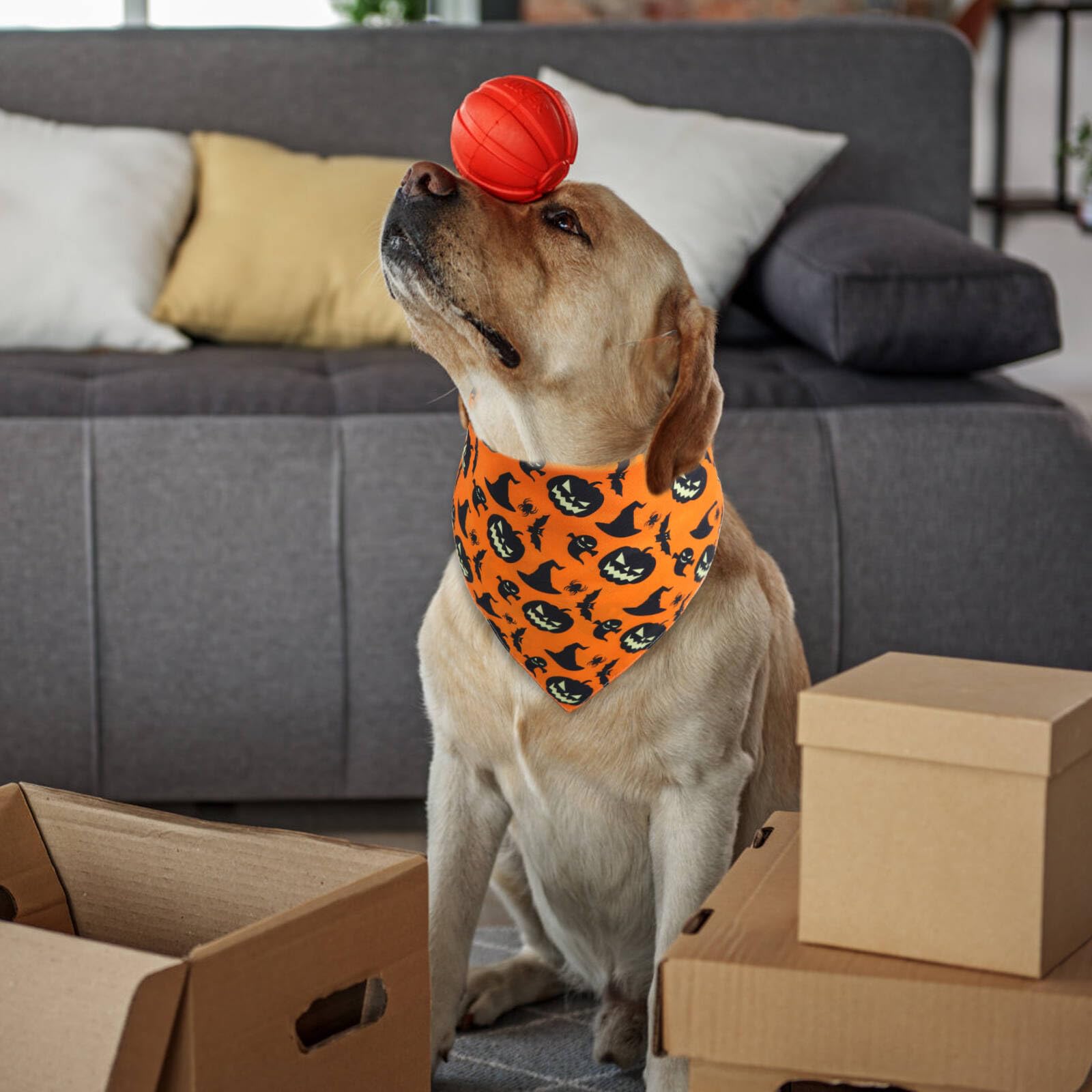 Gofshy Halloween Dog Bandana Xlarge -1 Pack, Premium Durable Triangle Reversible Dog Scarf, Adjustable Puppy Bandana Bib Handker