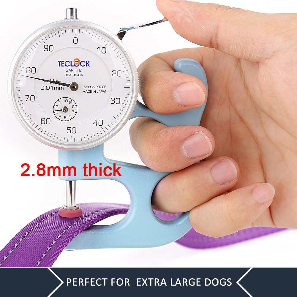 Plutus Pet Dog Leash 6ft Long, Traffic Padded Two Handle, Heavy Duty, Reflective Double Handles Lead for Control Safety Training