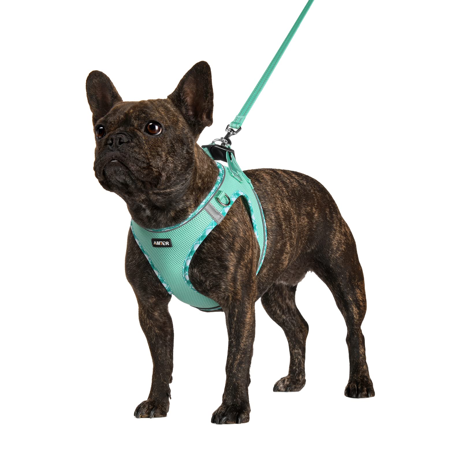 Amtor Dog Harness With Leash Set,No Pull Adjustable Reflective Step-In Puppy Harness With Padded Vest For Extra-Small/Small Medium Large Dogs And Cats(Green,S)
