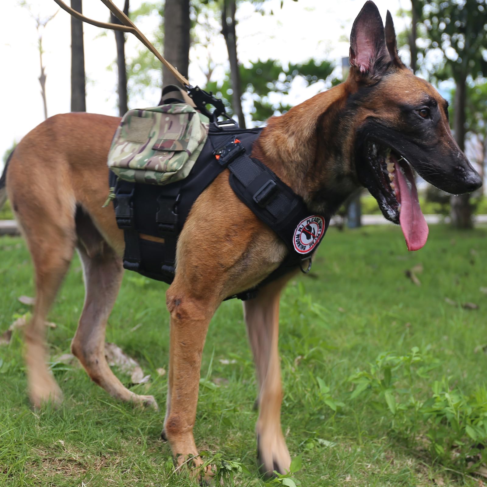 Icefang Gn3 Tactical Dog Harness With 6X Buckle,Dog Molle Vest With Handle,3/4 Body Coverage,Hook And Loop Panel For Id Patch,No