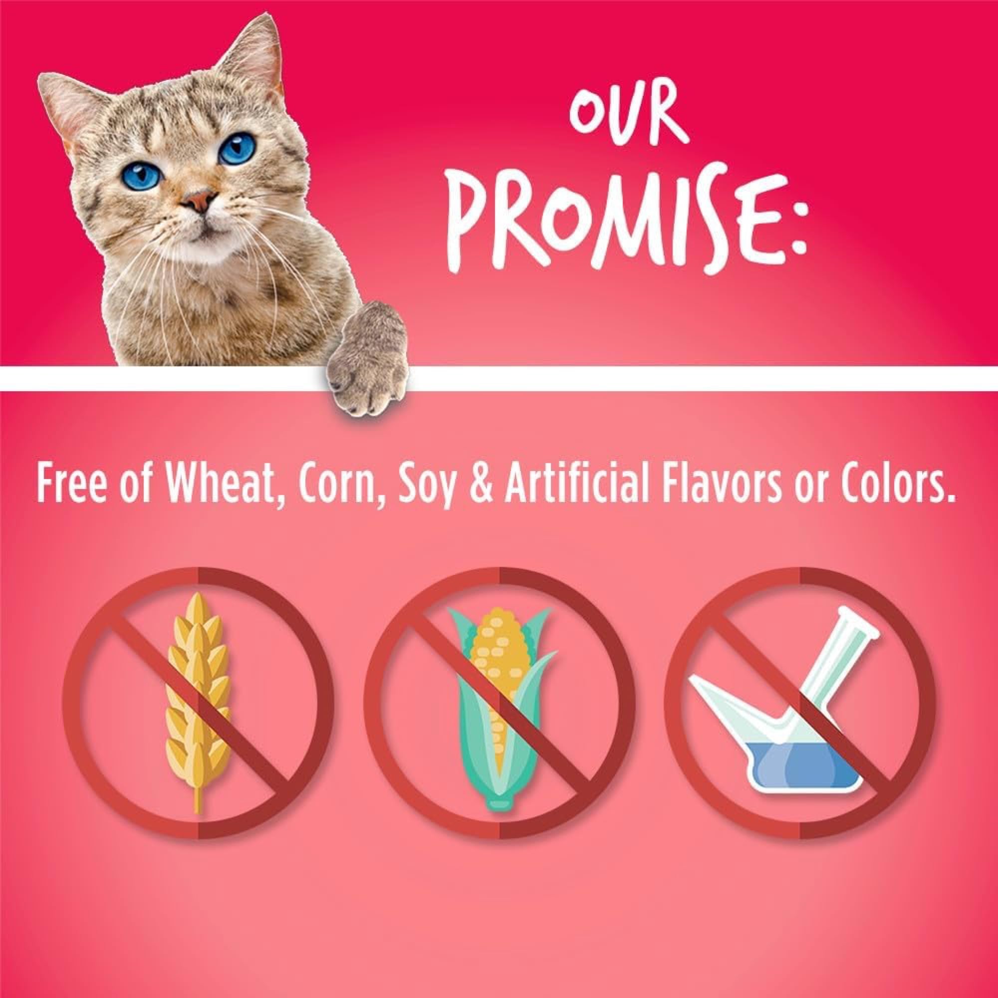 Fruitables Cat Crunchy Treats For Cats - Healthy Low Calorie Packed with Protein - Free of Wheat, Corn and Soy - Made with Real