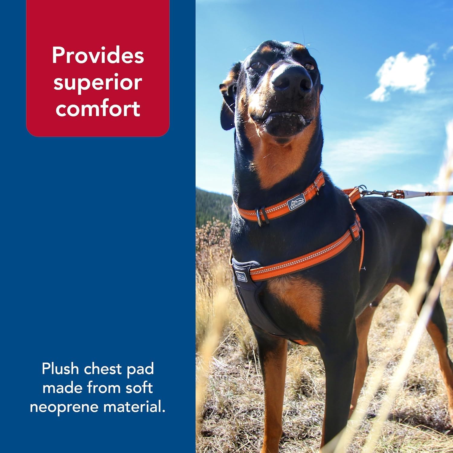 Coastal Pet K9 Explorer Reflective Adjustable Padded Dog Harness - Plush Chest Pad for Comfort - No-Pull Dog Harness for Small a