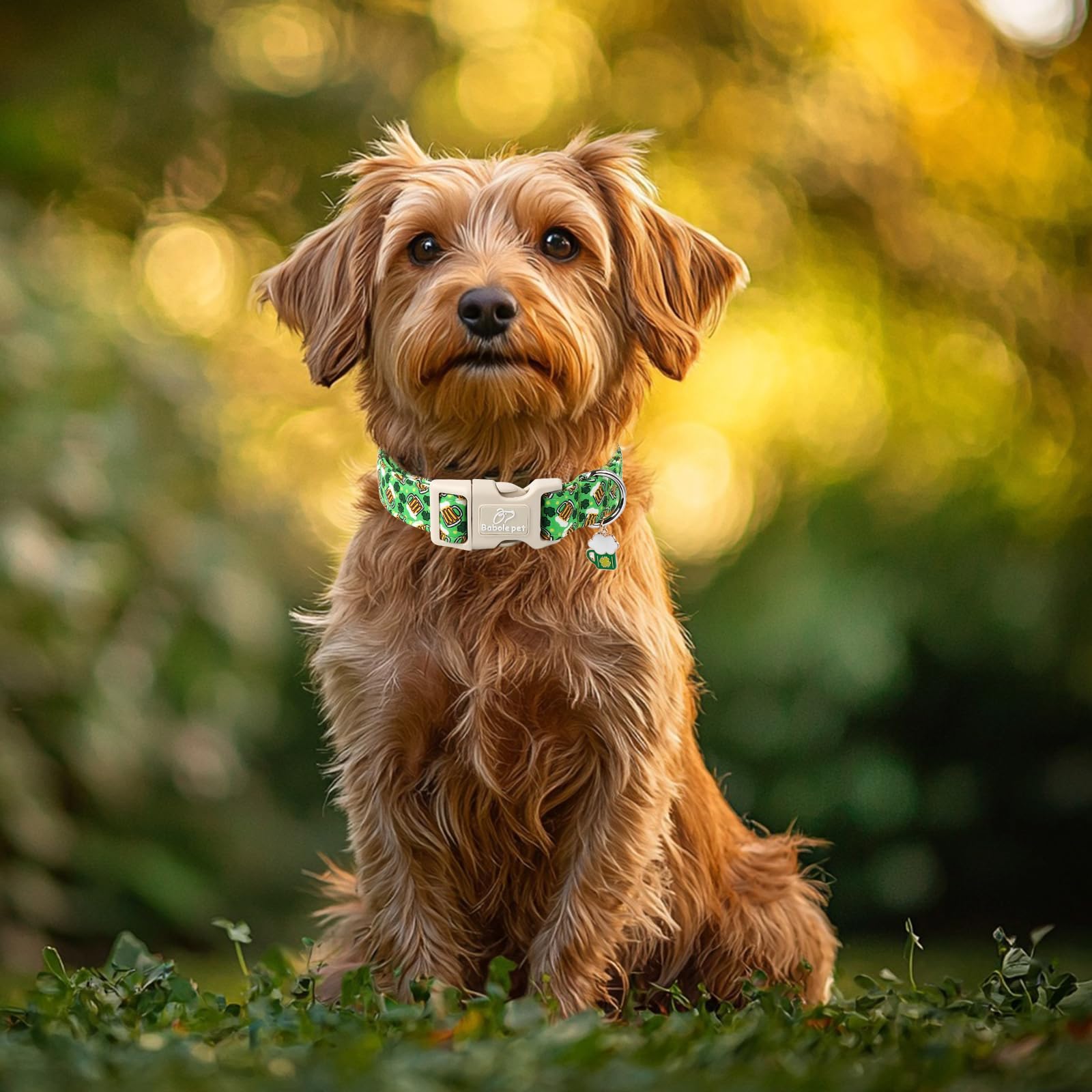 Babole Pet St Patricks Day Dog Collar for Small Dogs - Design Cute Irish Shamrock Beer Dog Collars Boy Girl Puppy Adjustable Qui