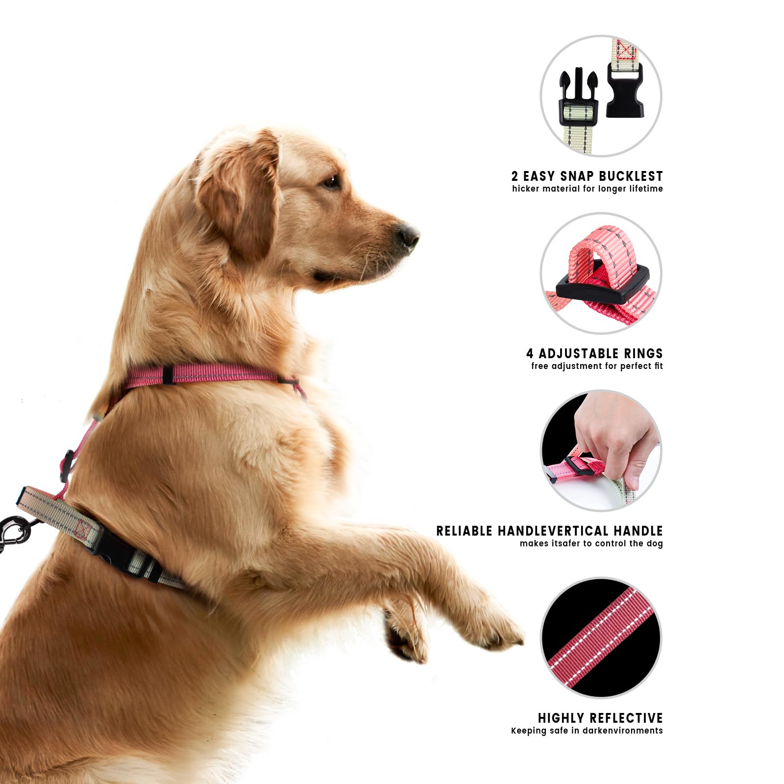 Roses&Poetry Puppy Dog Harness And Leash Set, No Pull Dog Harness Adjustable Reflective, Dog Halter Harnesses Comfort Padded Han
