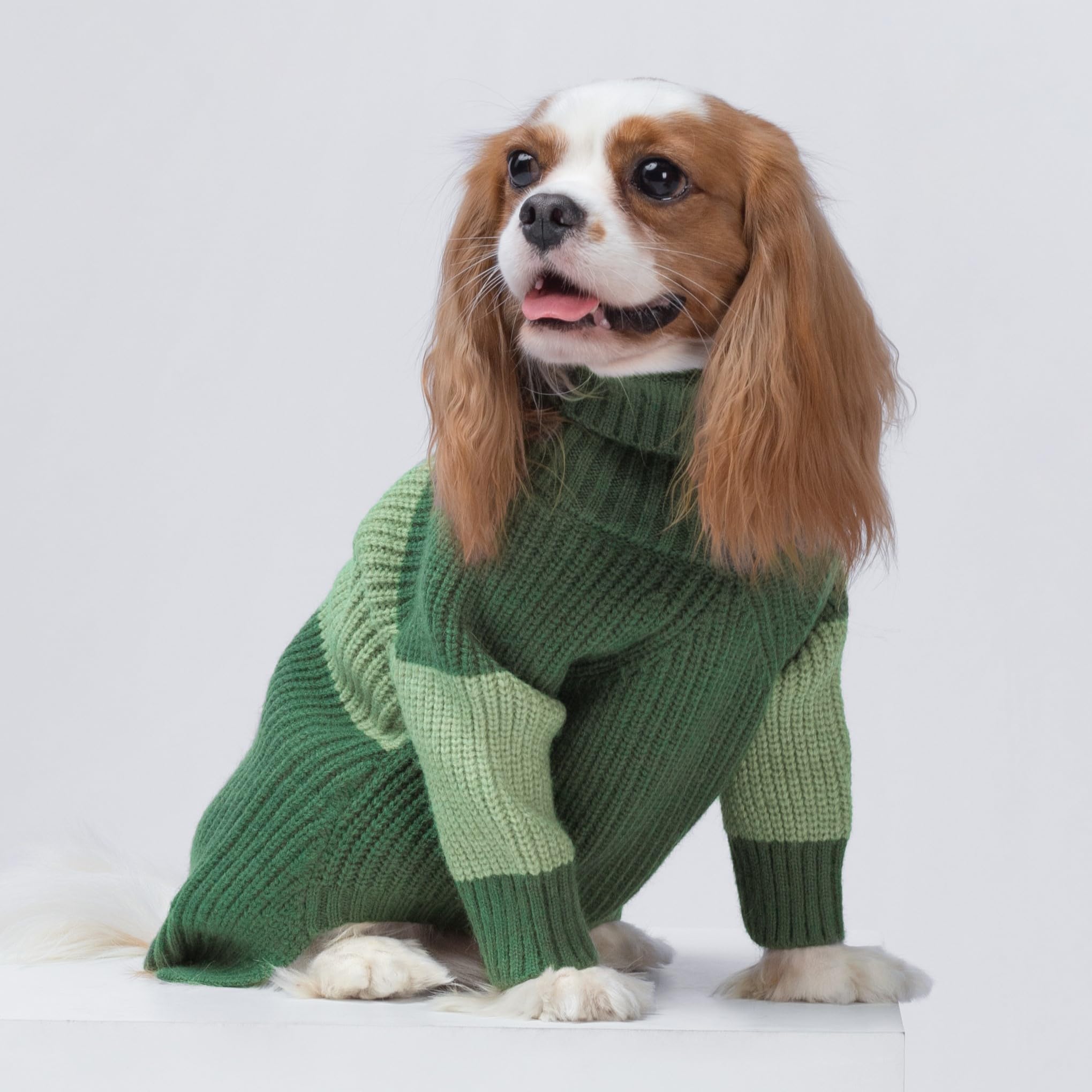 Fitwarm Color Block Turtleneck Dog Sweater, Thermal Dog Winter Clothes For Small Dogs Boy Girl, Pet Outfit, Dark Green, Mint Gre