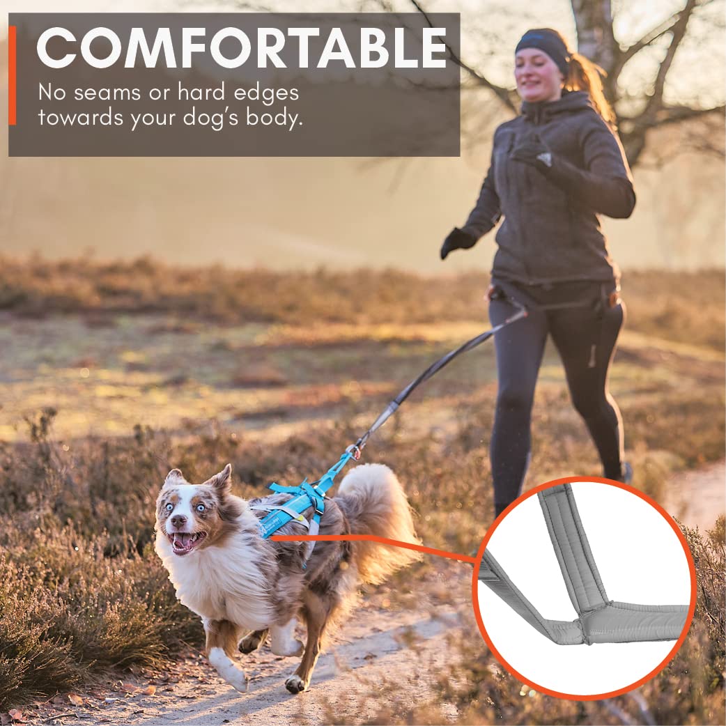 Non-Stop Dogwear Freemotion Harness 5.0 Dog Pulling Harness For Sports Like Running, Biking And Skiing With Dogs, Professional Adjustable Dog Harness, Orange/Black, Size 5