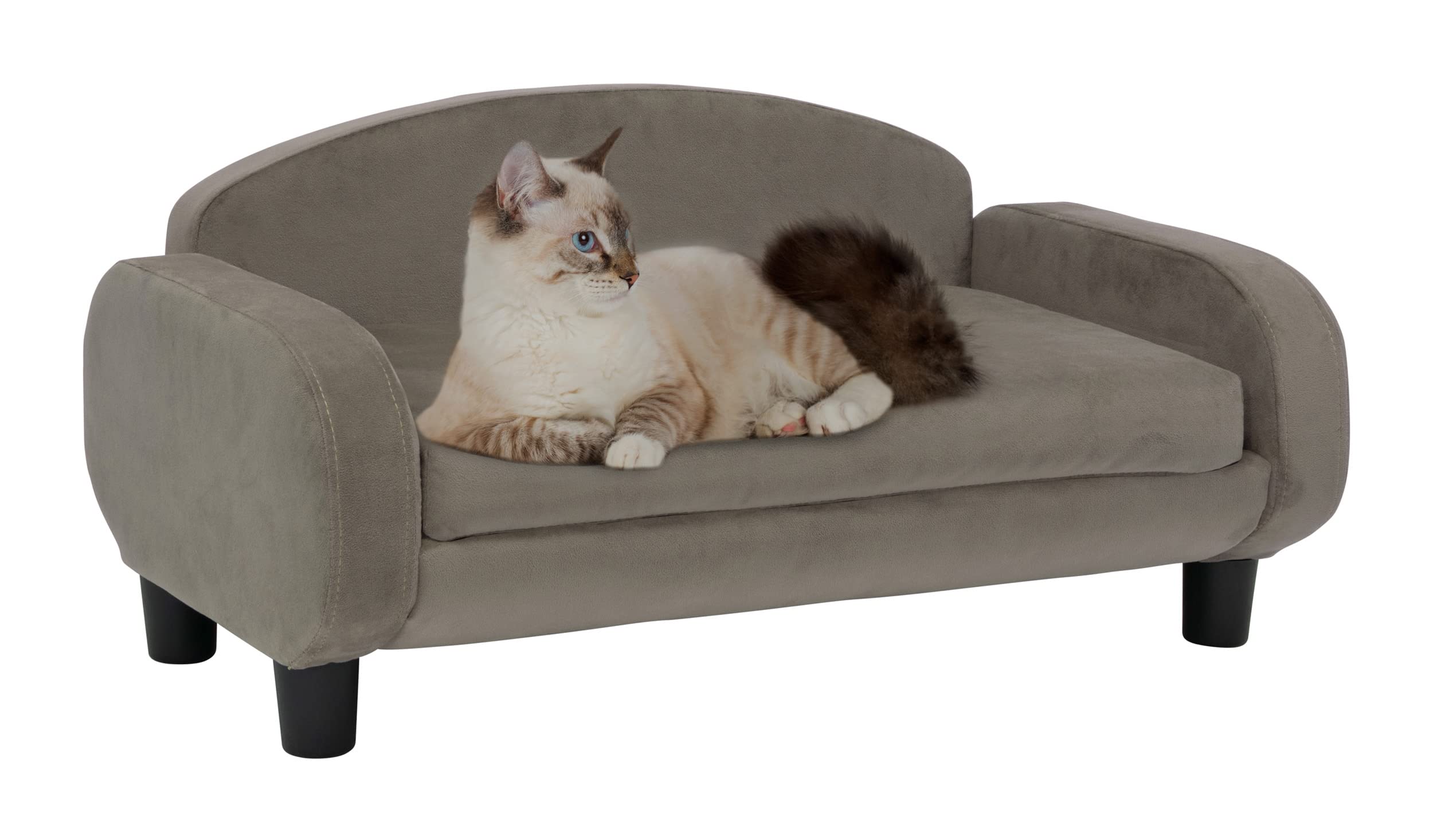 Paws & Purrs Modern Pet Sofa 31.5 Wide Low Back Lounging Bed with Removable Mattress Cover in Espresso/Ash