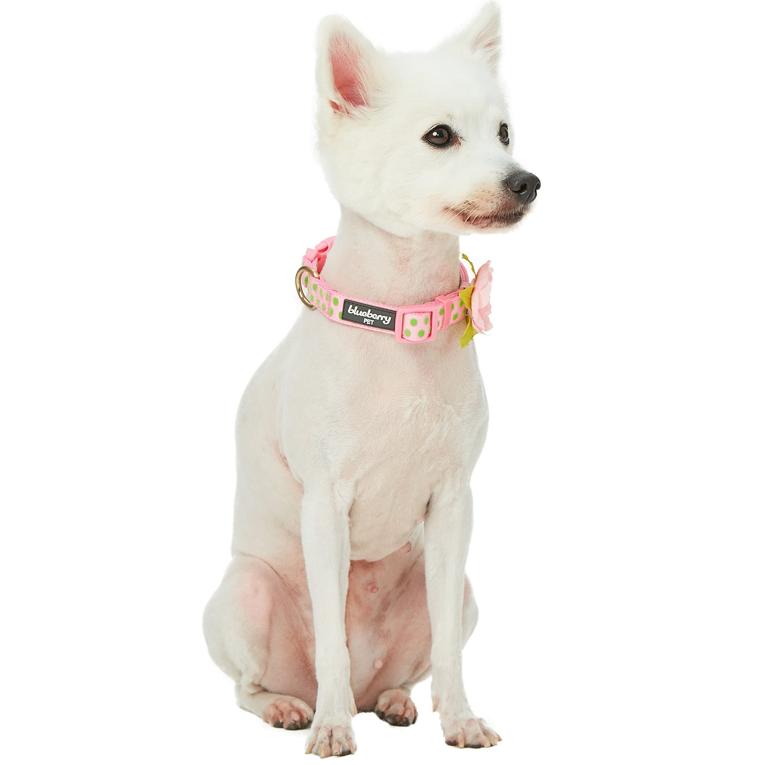 Blueberry Pet 4 Patterns Adjustable Flocking Dog Collar With Artificial Silk Flower - Polka Dot In Baby Pink, Small, Neck 12''-1