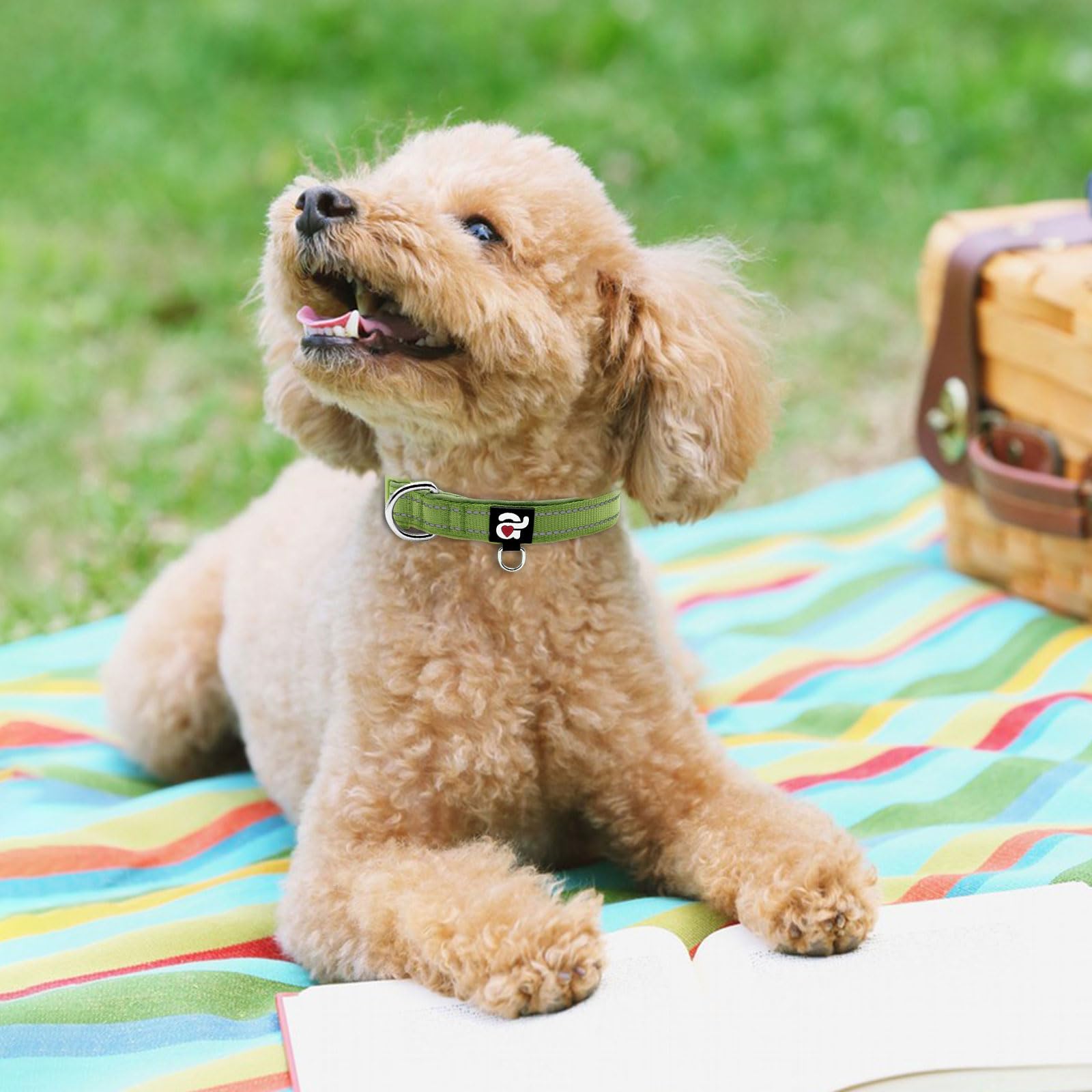 Azuza Reflective Dog Collar, Soft Neoprene Padded Pet Collar With Id Tag Ring, Adjustable For Puppy And Small Dogs,Army Green,Xs