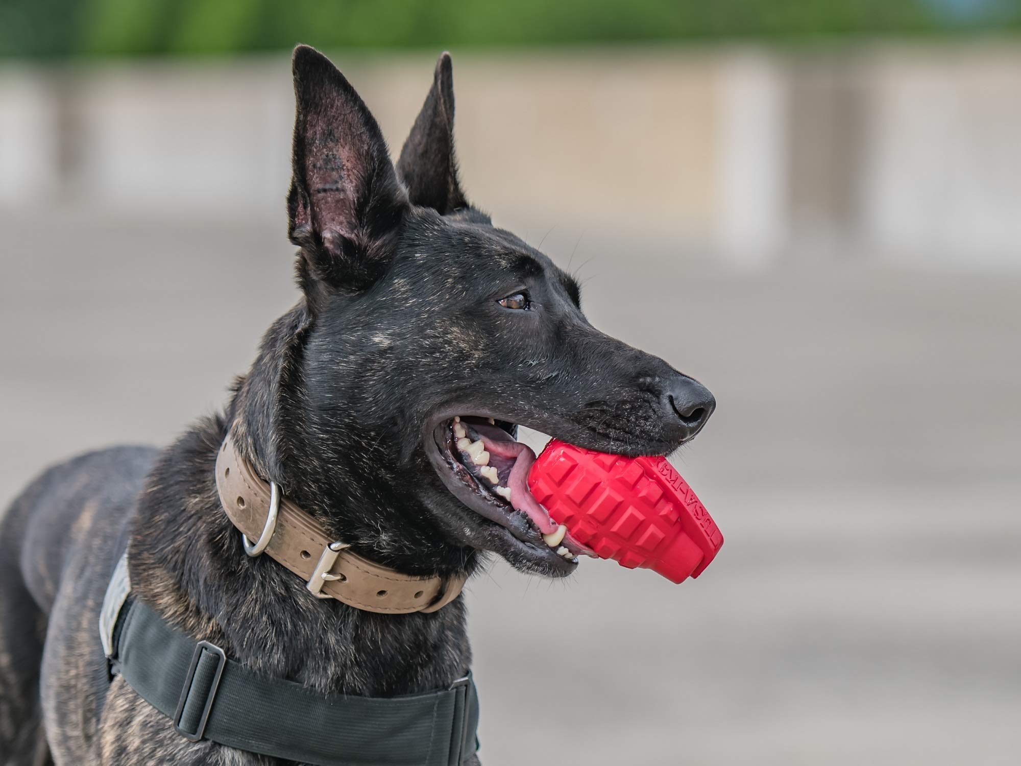 SodaPup USA-K9 Grenade - Durable Dog Treat Dispenser and Chew Toy Made in USA from Non-Toxic, Pet Safe, Food Safe Natural Rubber