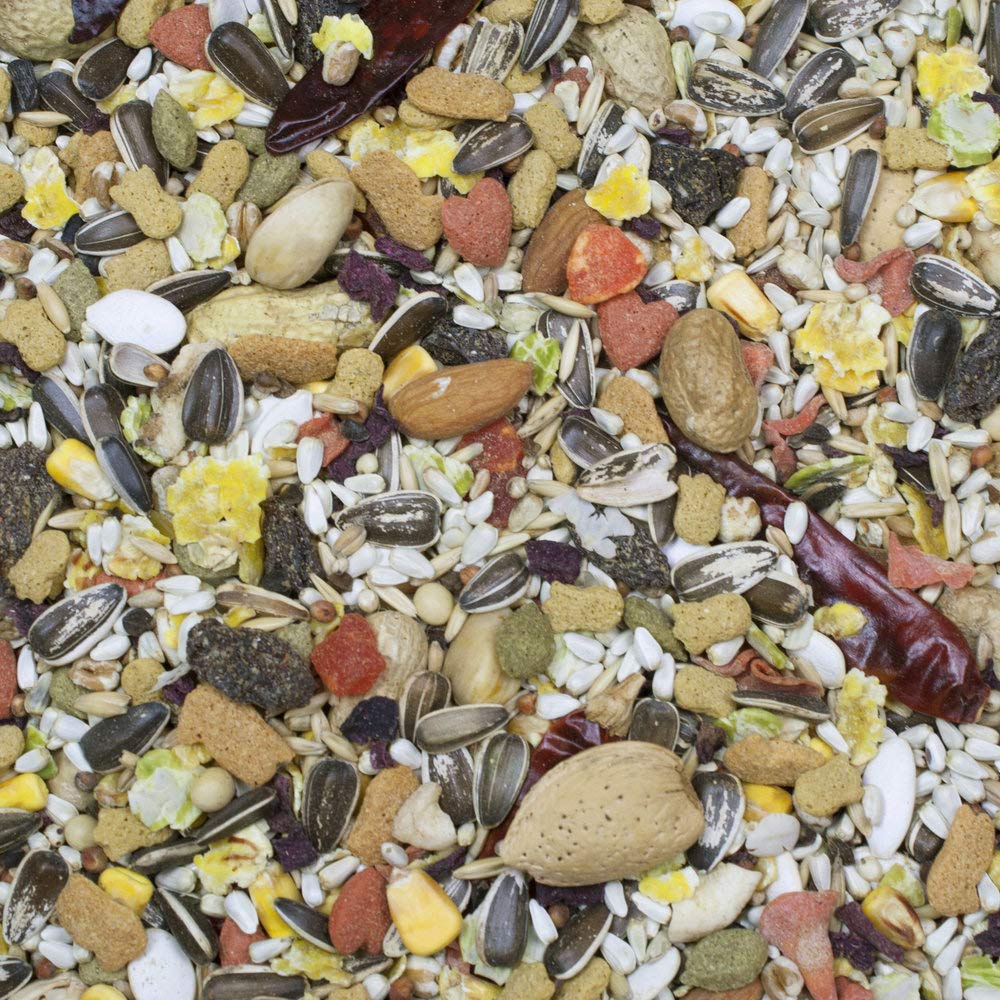 Higgins Sunburst Gourmet Blend Parrot Food 3 lbs - Pack of 2