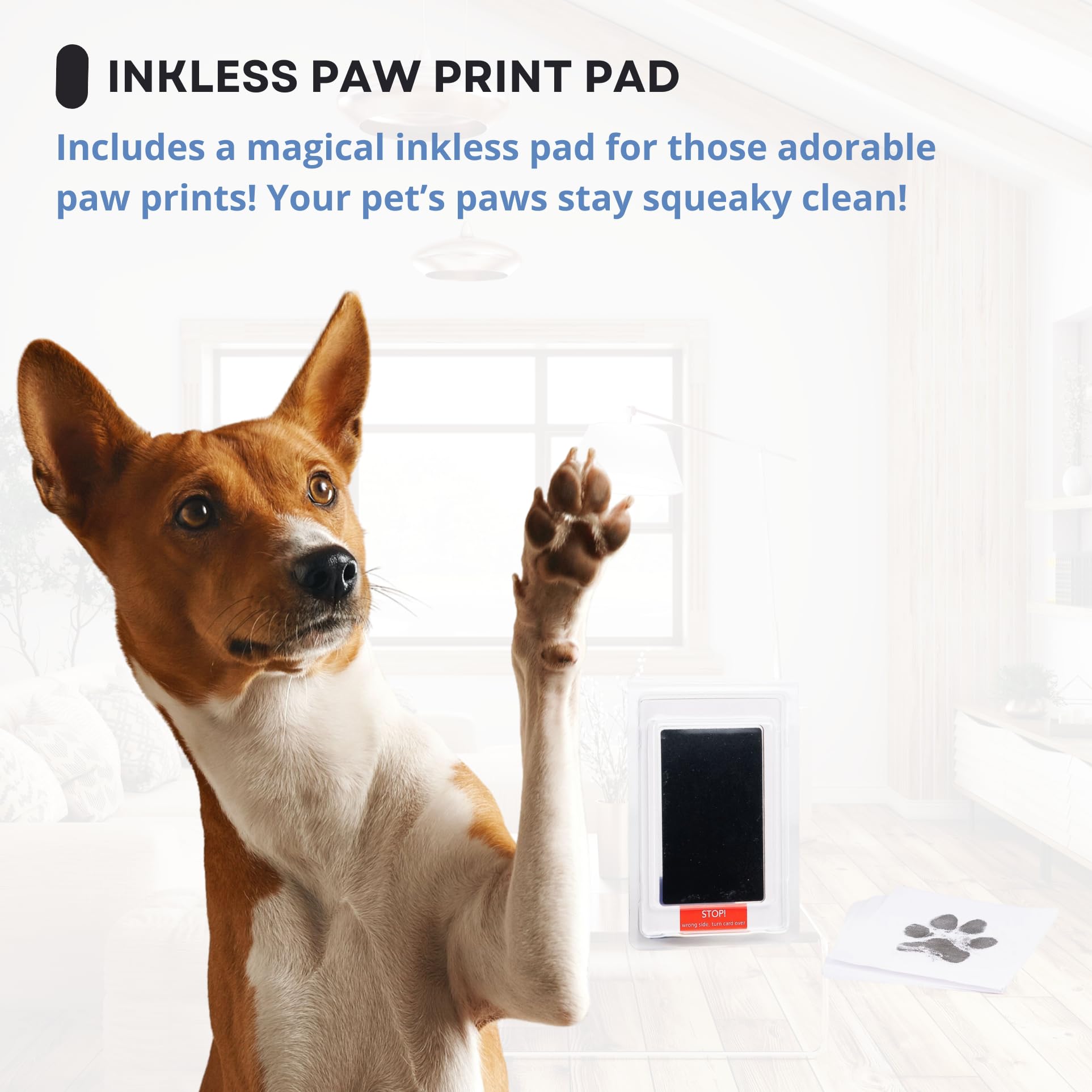 Otterpets Dog Urn For Ashes, 4 Customizable Displays With Paw Print Ink Kit, 8.5X8.5X5.8 Pet Urn For Dog Ashes, Pet Cremation Bo