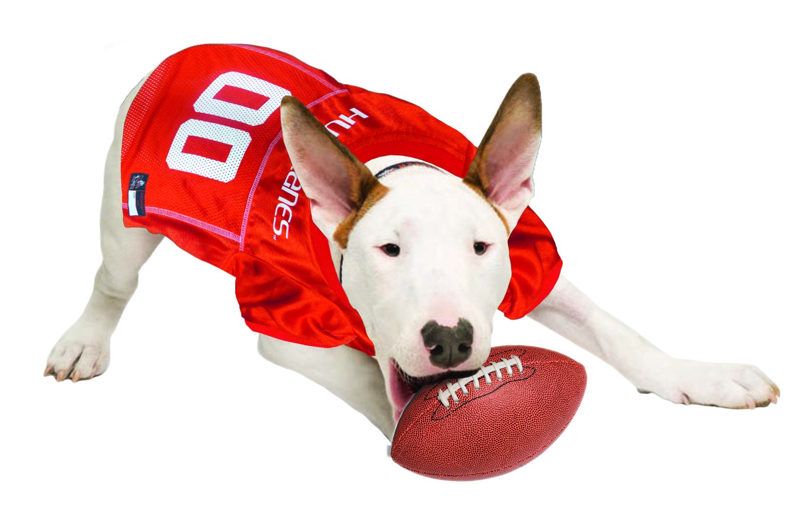Pets First NCAA College Miami Hurricanes Mesh Jersey for DOGS & CATS, Large. Licensed Dog Jersey with your Favorite Football/Bas