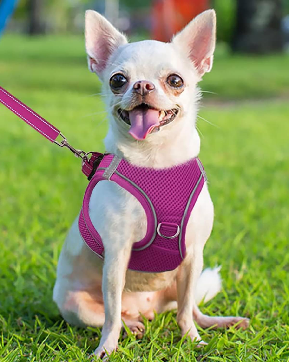 Joytale Step In Dog Harness,12 Colors,Breathable Mesh Vest Harness,Reflective Soft Padded Harnesses For Puppies And Extra Small Dogs,Hotpink,Xs