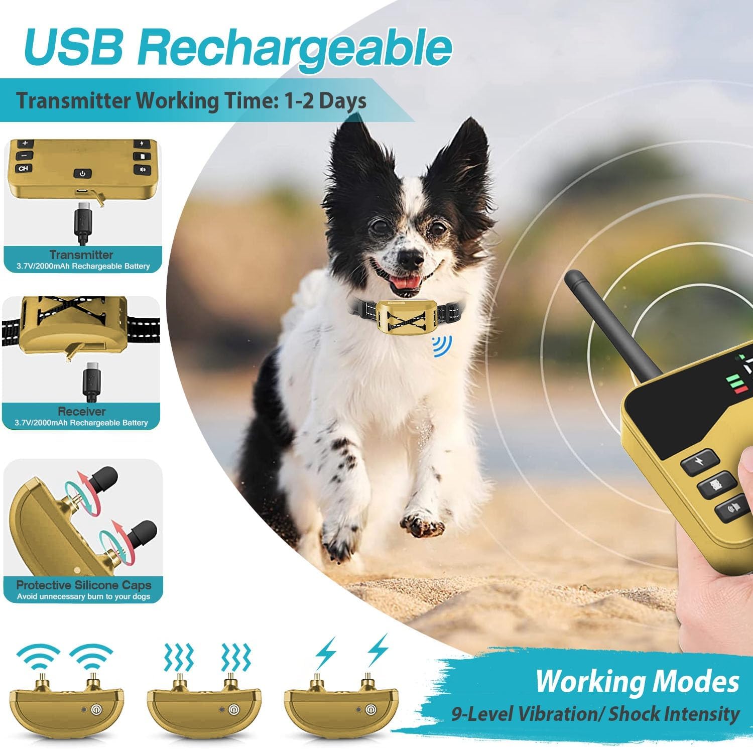 Wireless Dog Fence, 2-in-1 Electric Dog Fence System for 2 Dogs with Training Collar & Remote, IP65 Waterproof, 2024 Safety Pets