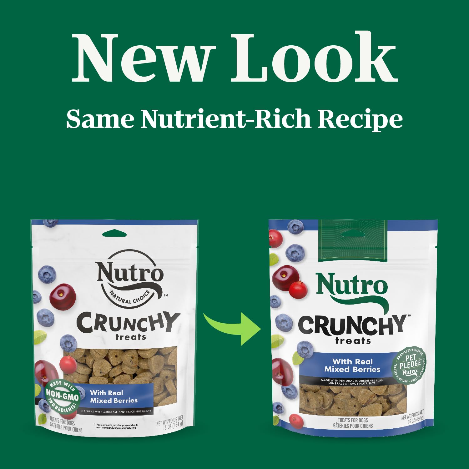 NUTRO Crunchy Dog Treats with Real Mixed Berries, 16 oz. Bag