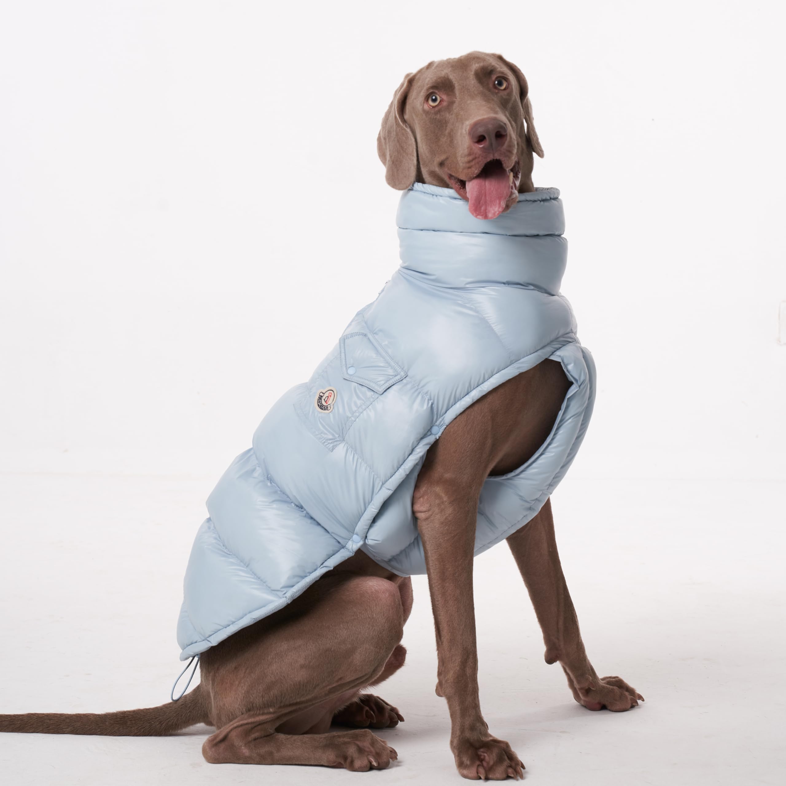 Chochocho Winter Dog Jacket, Cold Weather Coats, Lightweight, Thermal Insulated, Water-Resistant, Adjustable Dogs Jackets With L