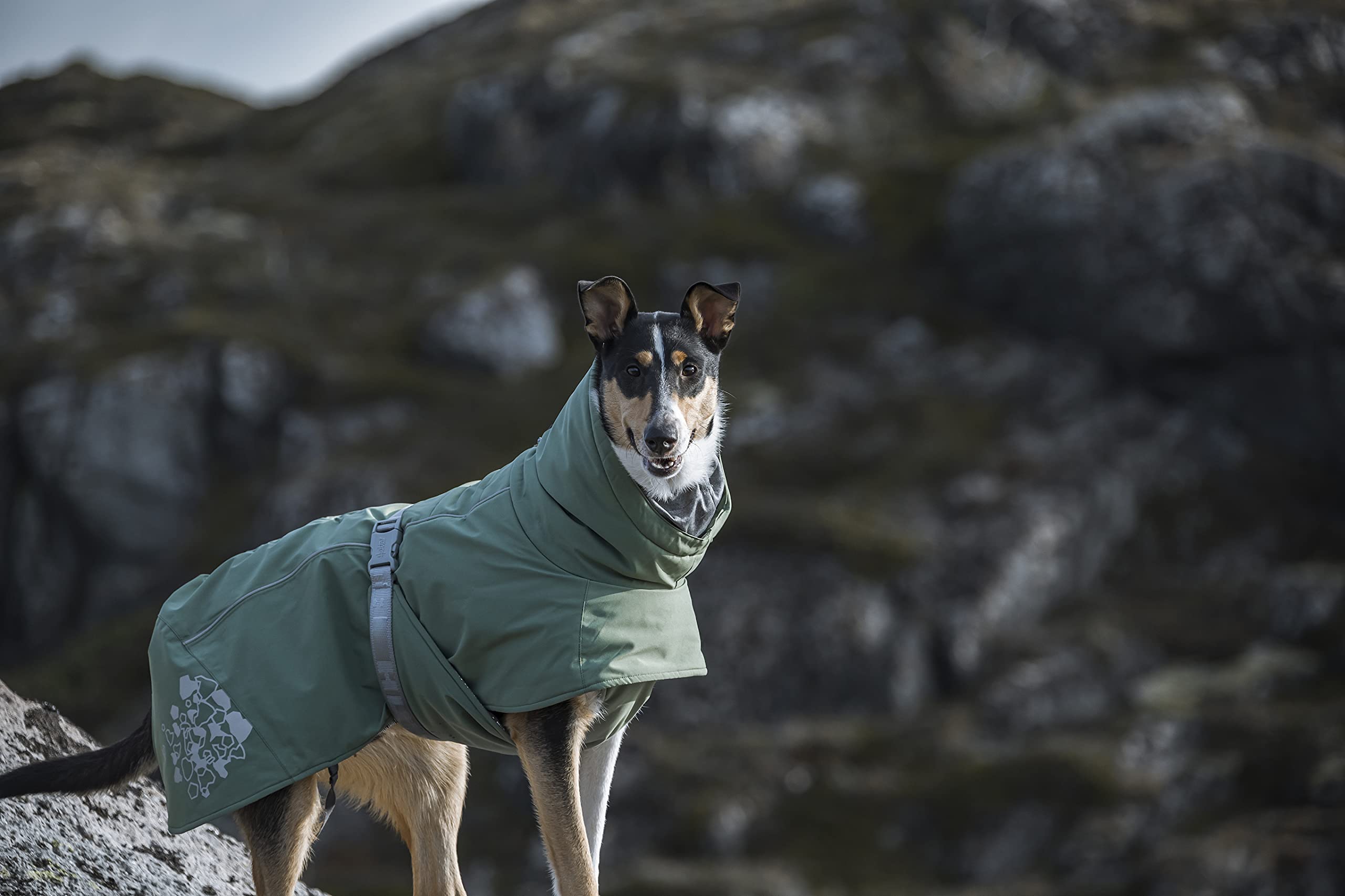 Hurtta Extreme Warmer 2, Winter Dog Coat Eco, Hedge, 26 In