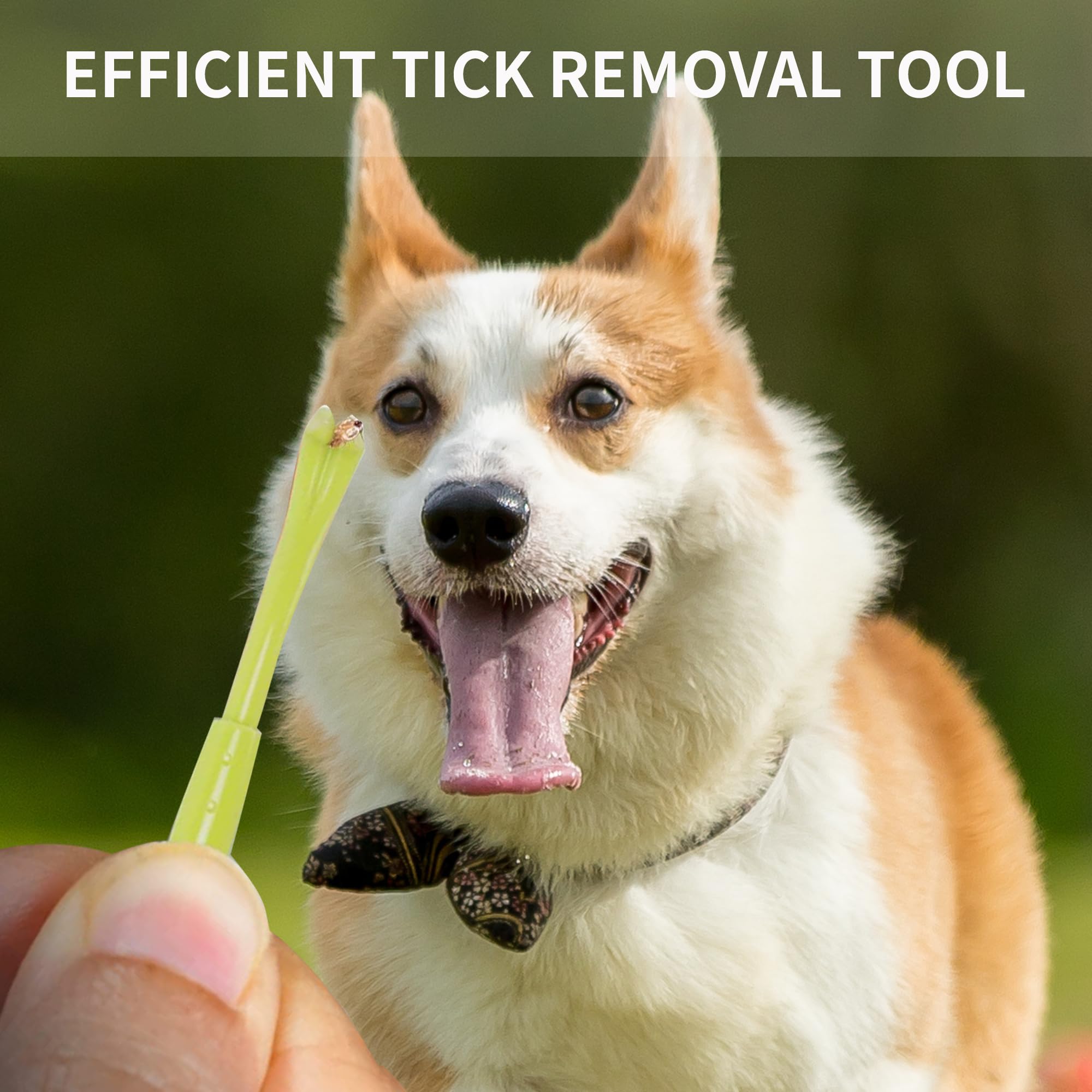 Yogini Tick Removal Tool For Dogs Cats And Humans 14 Packs,Pain Free Tick Puller,Ultra-Safe Tick Tweezers With Small And Large (