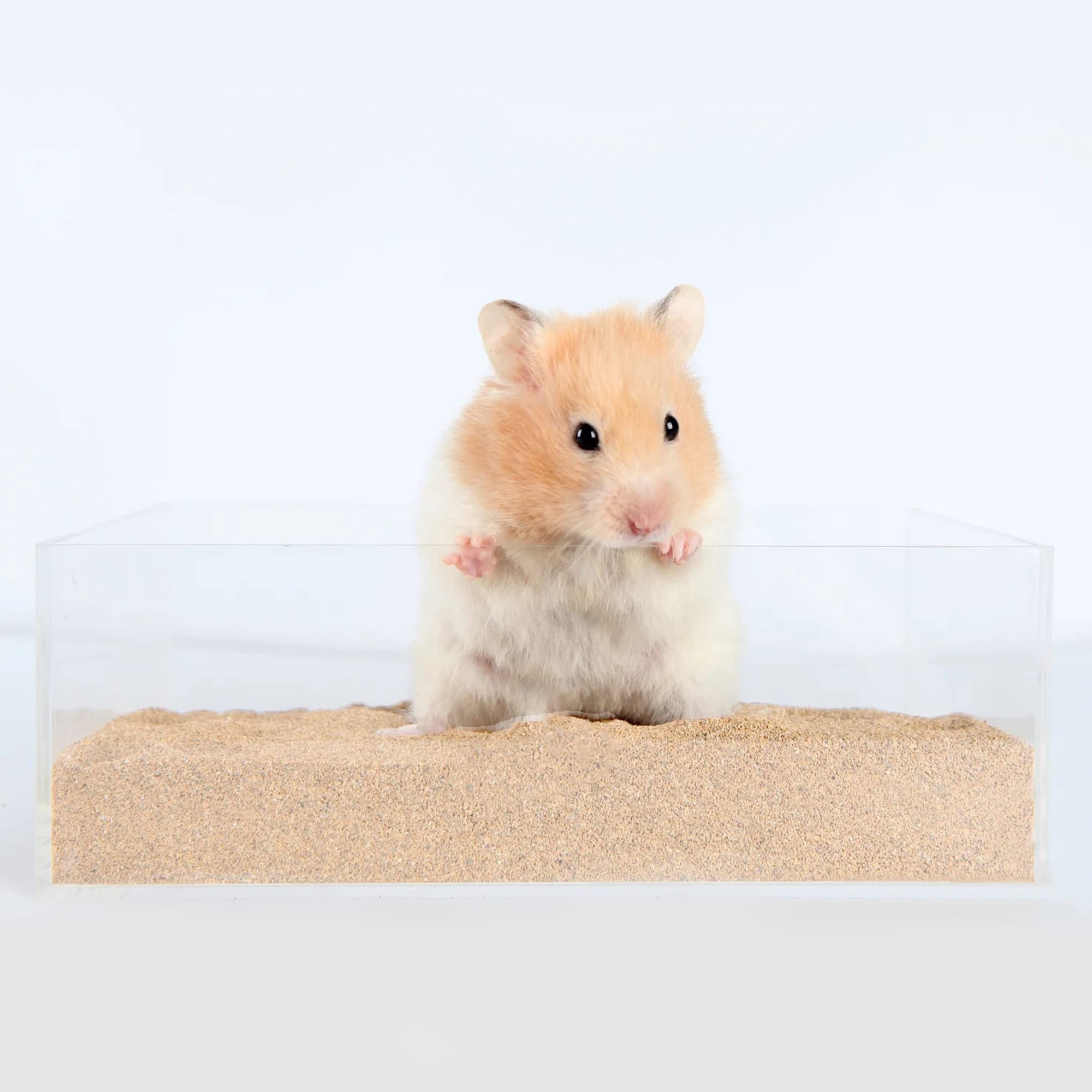 Dr.Dudu Hamster Bath Sand, 6.6Lb Dust Free Desert Sand Or Potty Litter Sand For Hamster Chinchillas Gerbil Syrian Mice Small Ani