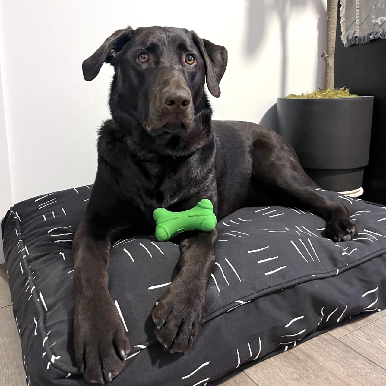 Molly Mutt Huge Dog Bed Cover -Dreams - Measures 36   X45   X5-100% Cotton - Durable - Breathable - Sustainable - Machine Washab