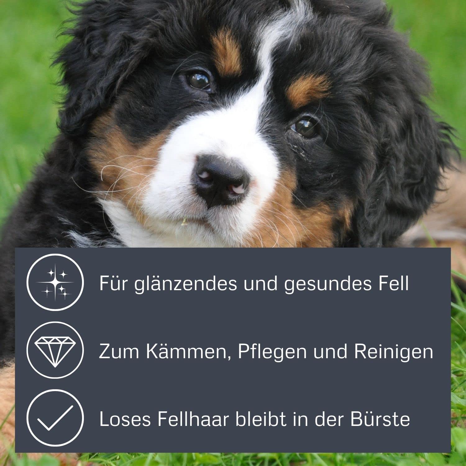 Alcott Bamboo Groom Rotating Pin Comb With 31 Rounded Pins For Pets