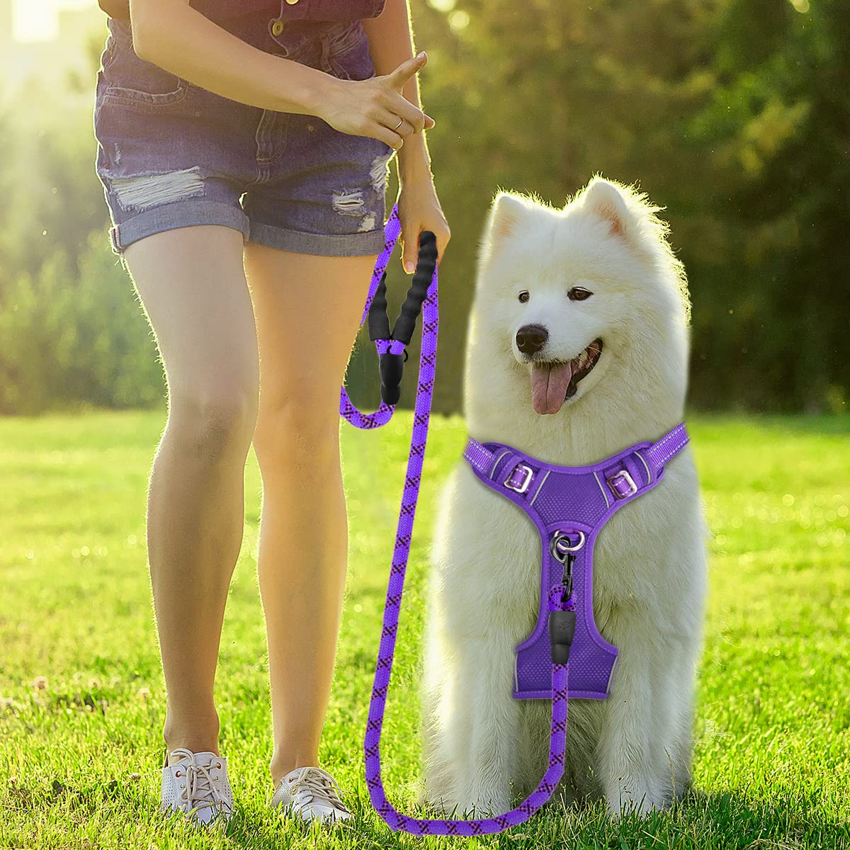 BARKBAY No Pull Dog Harness Front Clip Heavy Duty Reflective Easy Control Handle for Large Dog Walking with ID tag Pocket(Purple