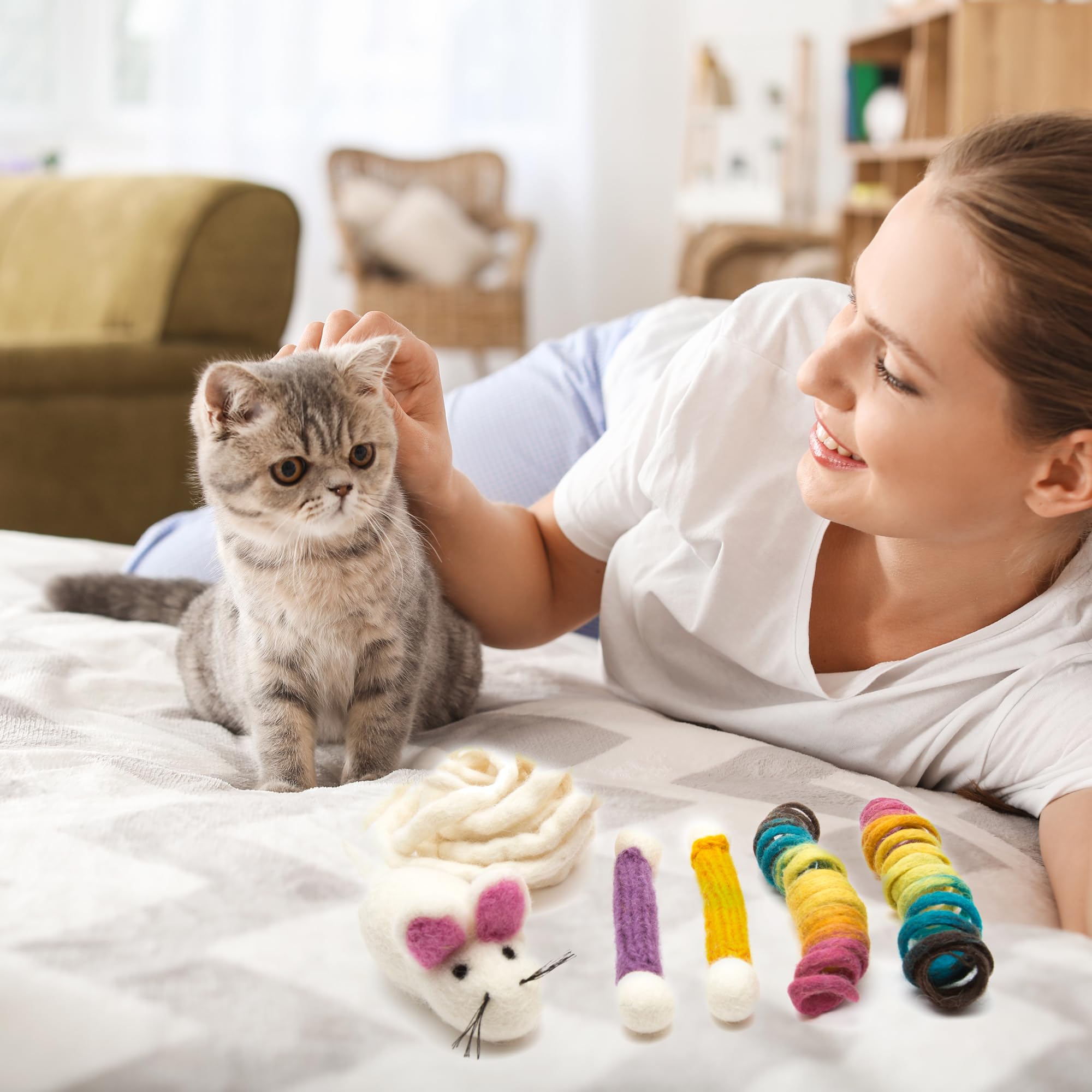 Glaciart One Indoor Catnip Cat Toy Pack - 5Pc | Kitty Toys Include Wool Springs, Swabs & Mouse | For Activity, Exercise & Play |