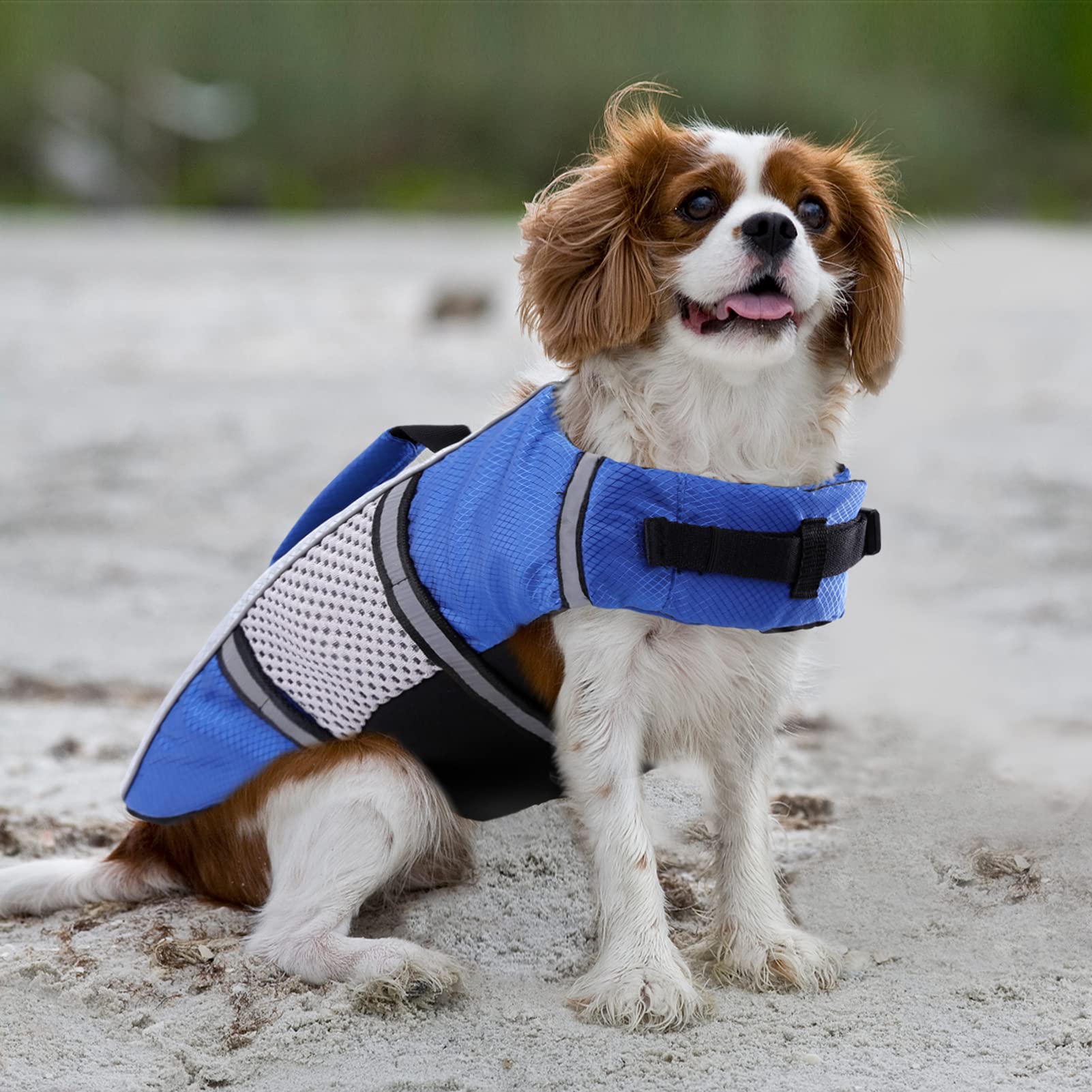 Dog Life Jacket Swimming Vest Lightweight High Reflective Pet Lifesaver With Lift Handle, Leash Ring Blue,S