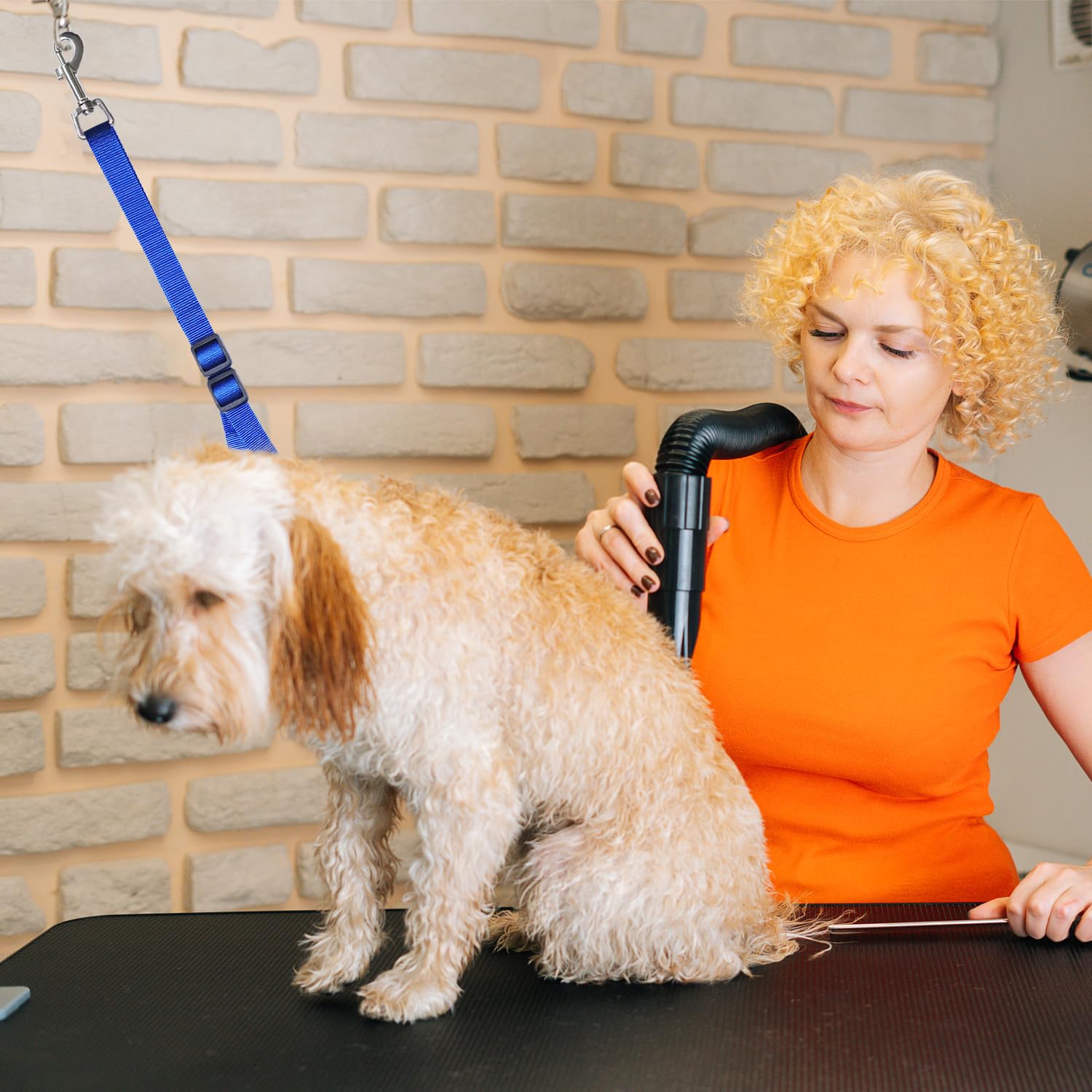 Pet Dog Grooming Loops,2 Pack Adjustable Nylon Restraint Noose Loop, Dog Grooming Arm Accessories Fixed Dog Bathing Safety Tethe