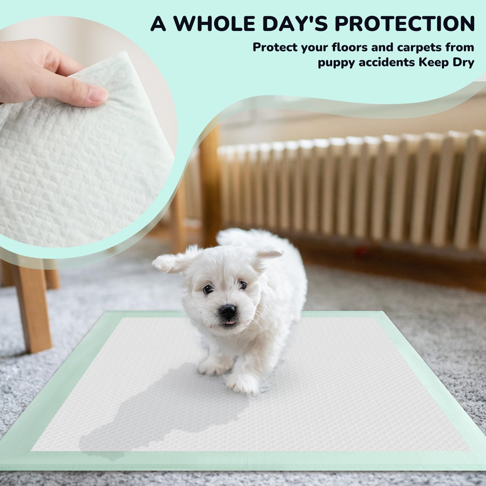 Puppy Pee Pads 100PCS Disposable Pet Toilet Training Pads 18 x 13 for Dogs, Ultra Absorbent|Quick Dry|Leak-Proof Pet Potty Pads