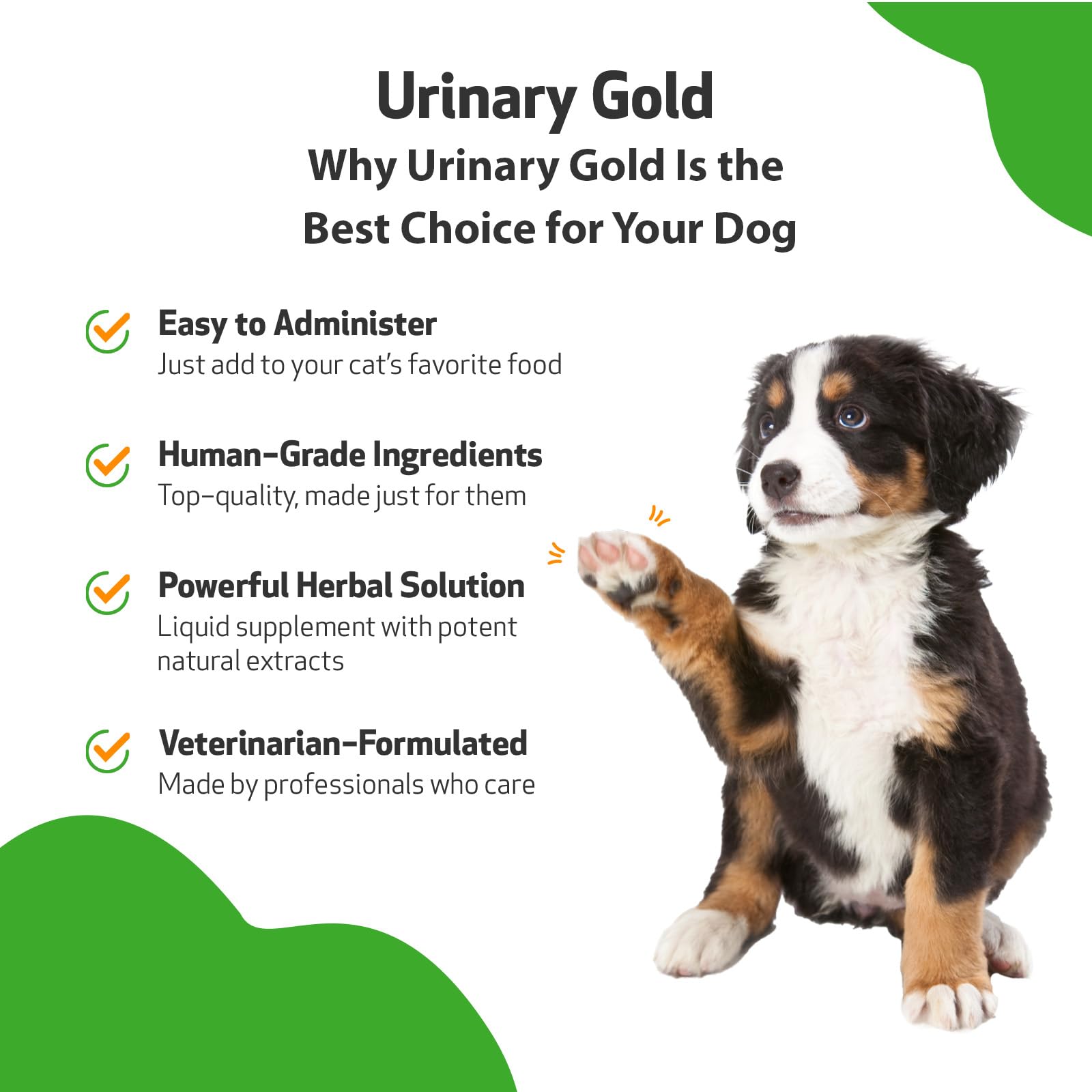 Pet Wellbeing Urinary Gold for Dogs - Vet-Formulated Multi-Herb Urinary Tract Support - Bladder Health & Urinary System Wellness