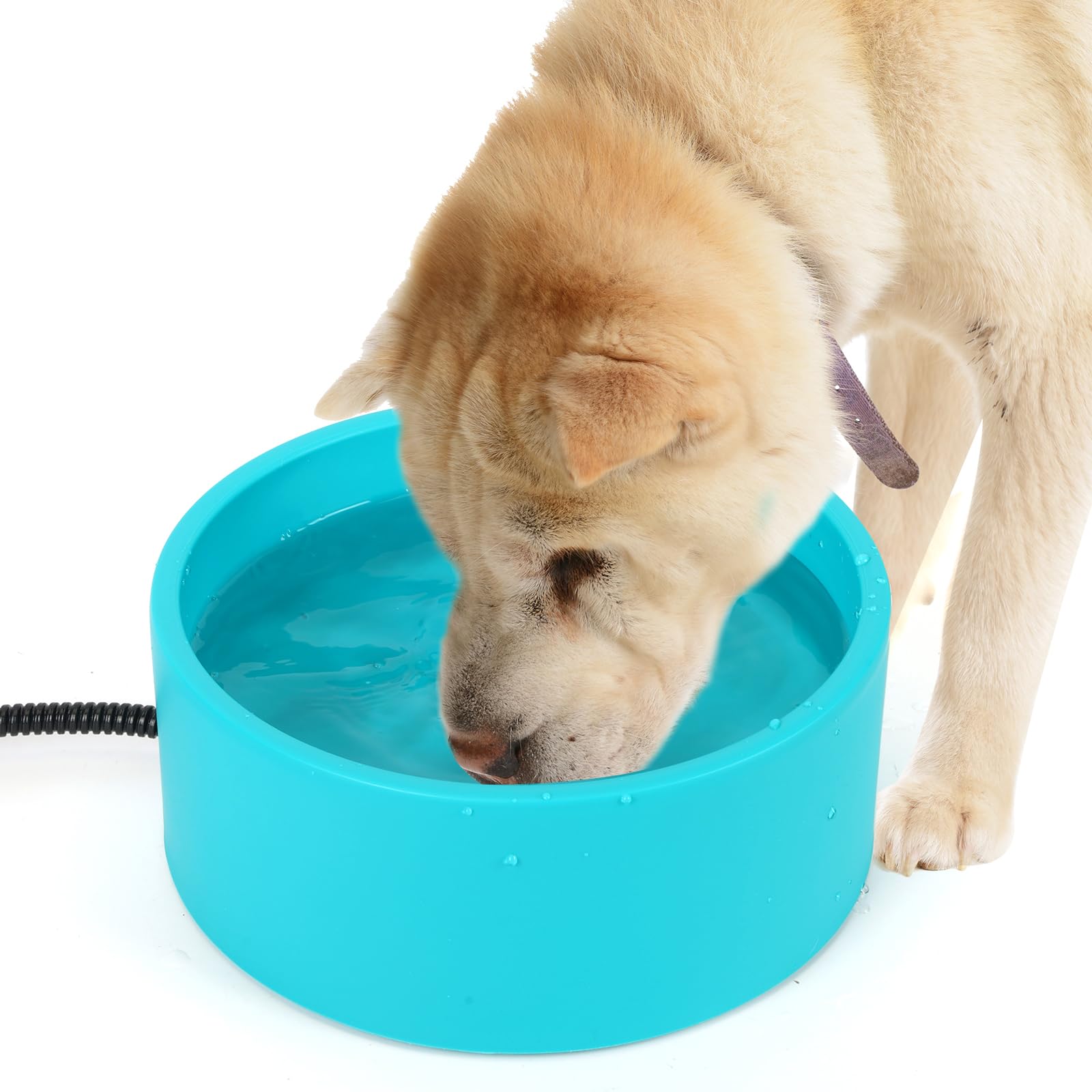 3.2L Heated Water Bowl for Dogs, Outside Heated Dog Bowl, Large Heated Dog Water Bowl Outdoor, Thermostatic Control Heated Cat B