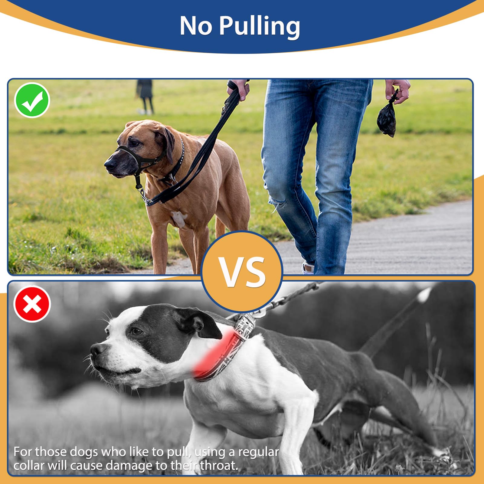 Barkless Head Collar For Dogs, No Pull Head Halter For Large Medium Small Dogs, Dog Halter Stops Heavy Pulling, Muzzle Leash Wit