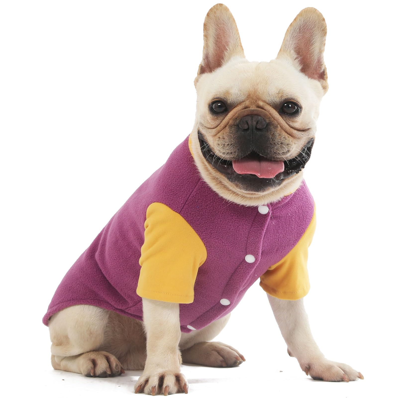 Sweater Clothes For Small Medium Dogs Boy And Girl - Jacket Winter Coat With O-Ring Leash, Stretchy Warm Sweatshirt, Cat Puppy A