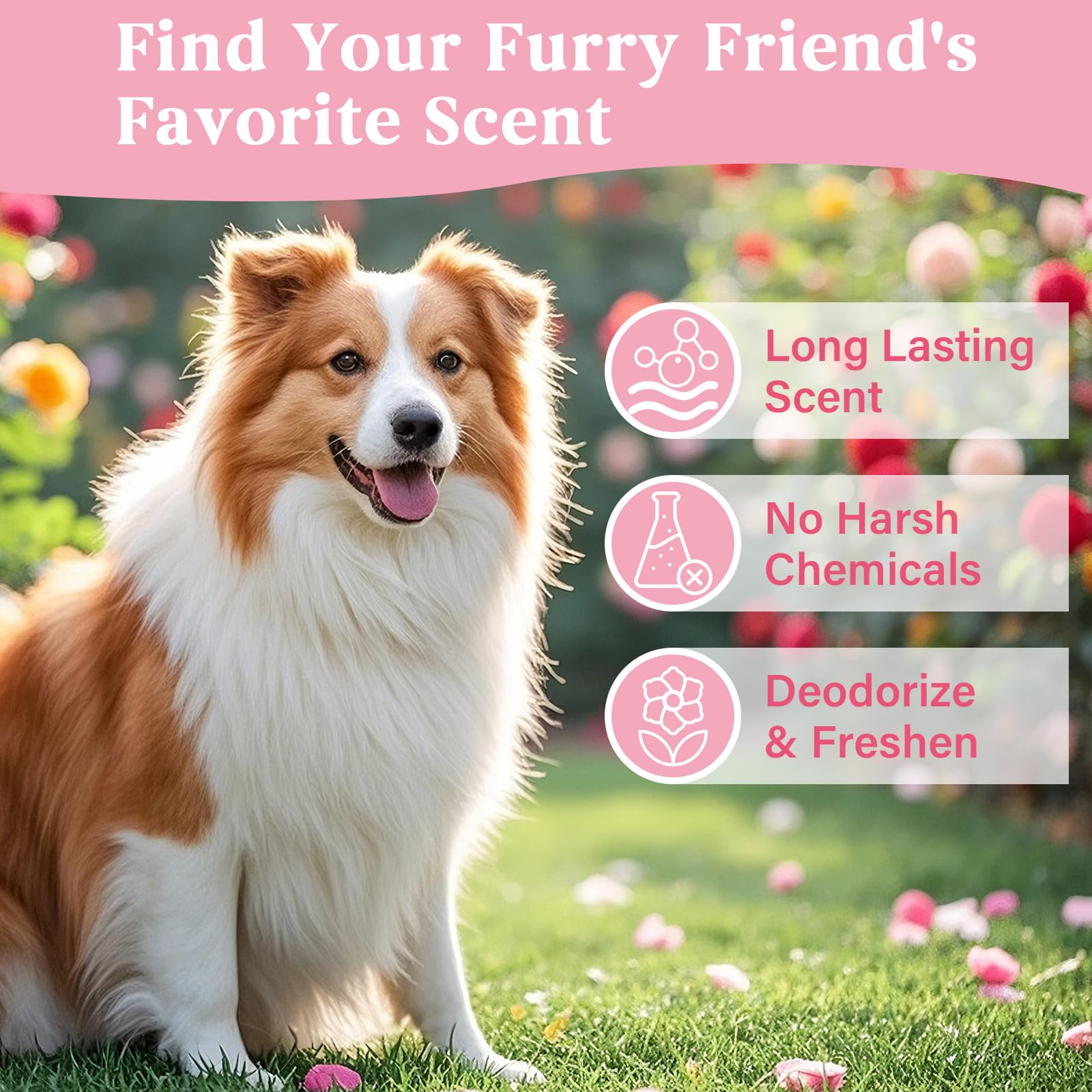 Oivolii Natural Pet Cologne | Perfume For Dogs & Cats Premium Grooming Spray Long-Lasting Rose Scent Deodorizing Conditioning &