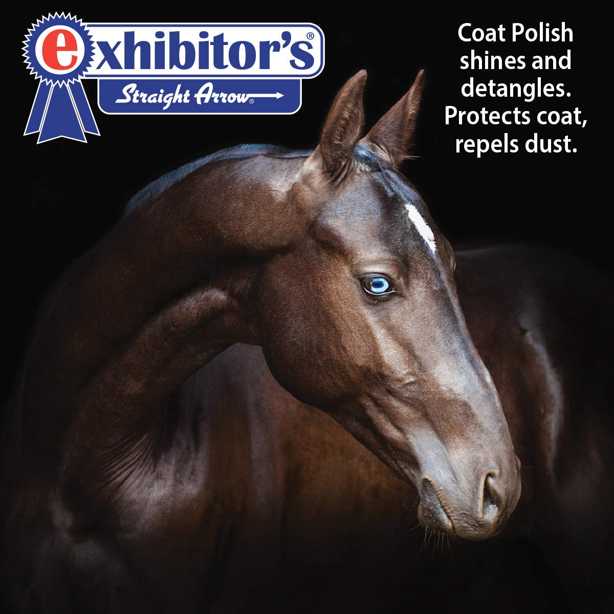 Exhibitor'S Quic Shampoo And Conditioner 64 Oz With Free Quic Braid And Quic Sheen Detangler