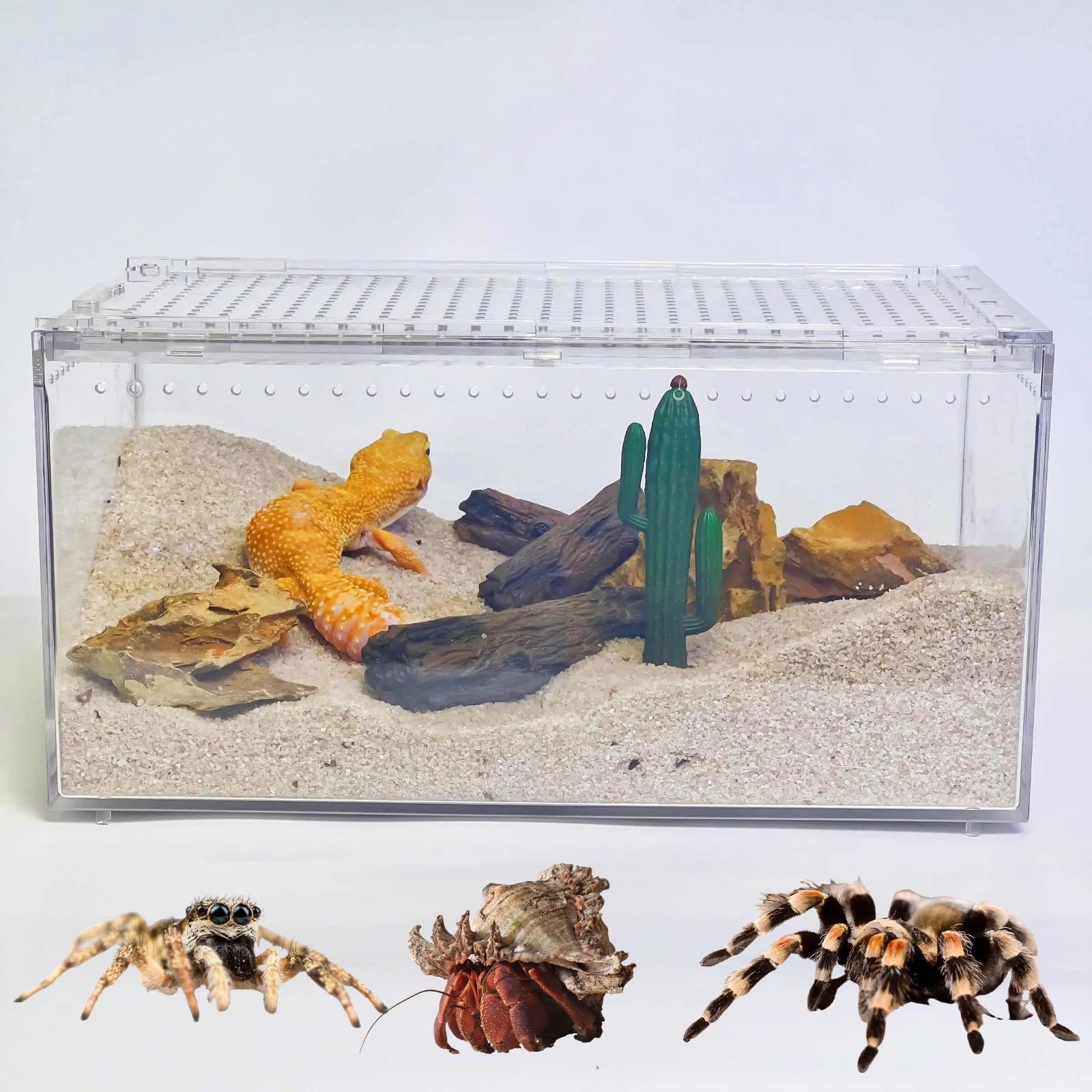 Mini Reptile Terrarium, 12 x 8x 6 Reptile Tank with Full View Visually Appealing, for Hermit Crab, Tarantula, Jumping Spider,Fro