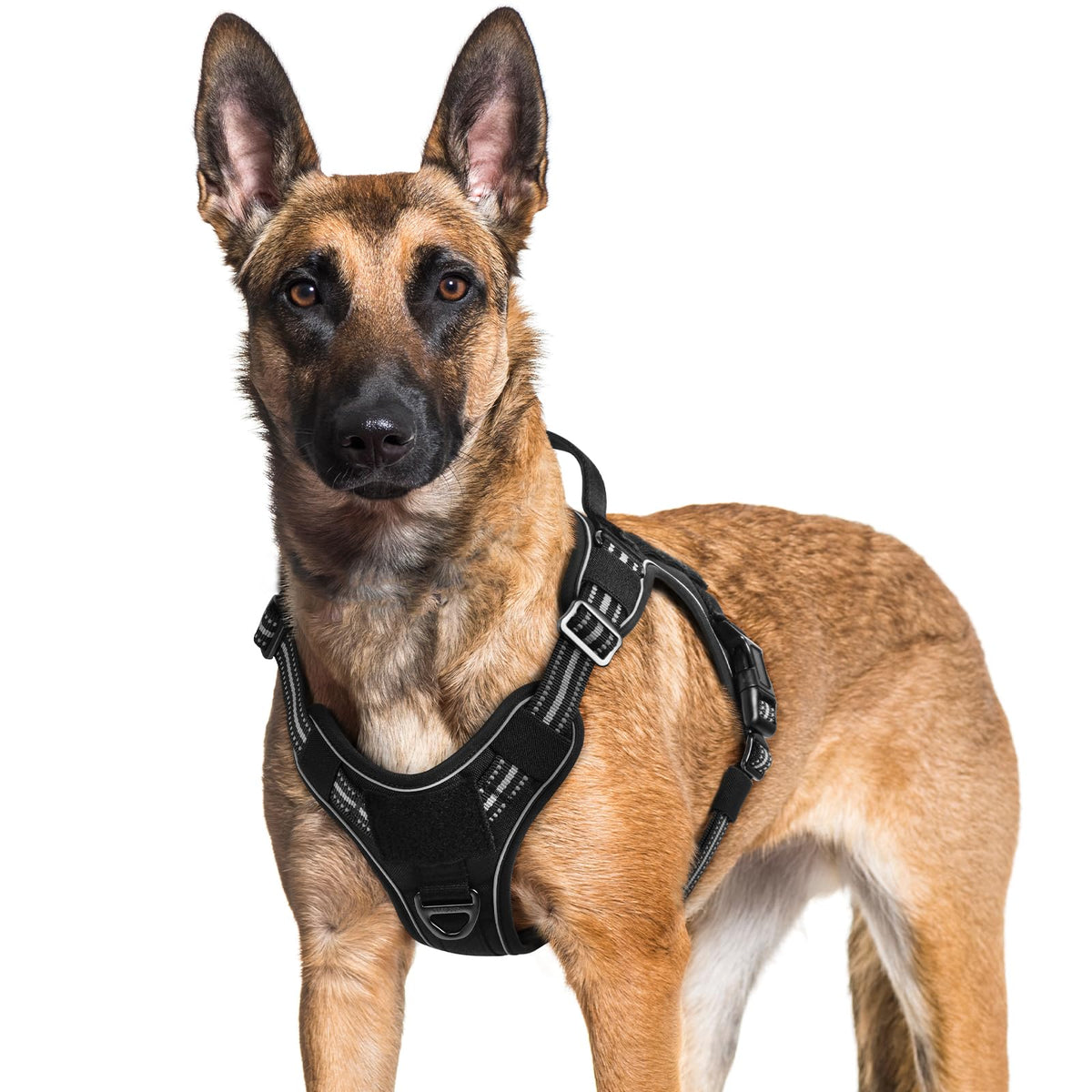 Rabbitgoo Dog Harness For Large Dogs No Pull, Tactical Service Dog Vest With Molle And Control Handle, Adjustable And Reflective Military Pet Harness For Easy Walking And Training, Black, Xl