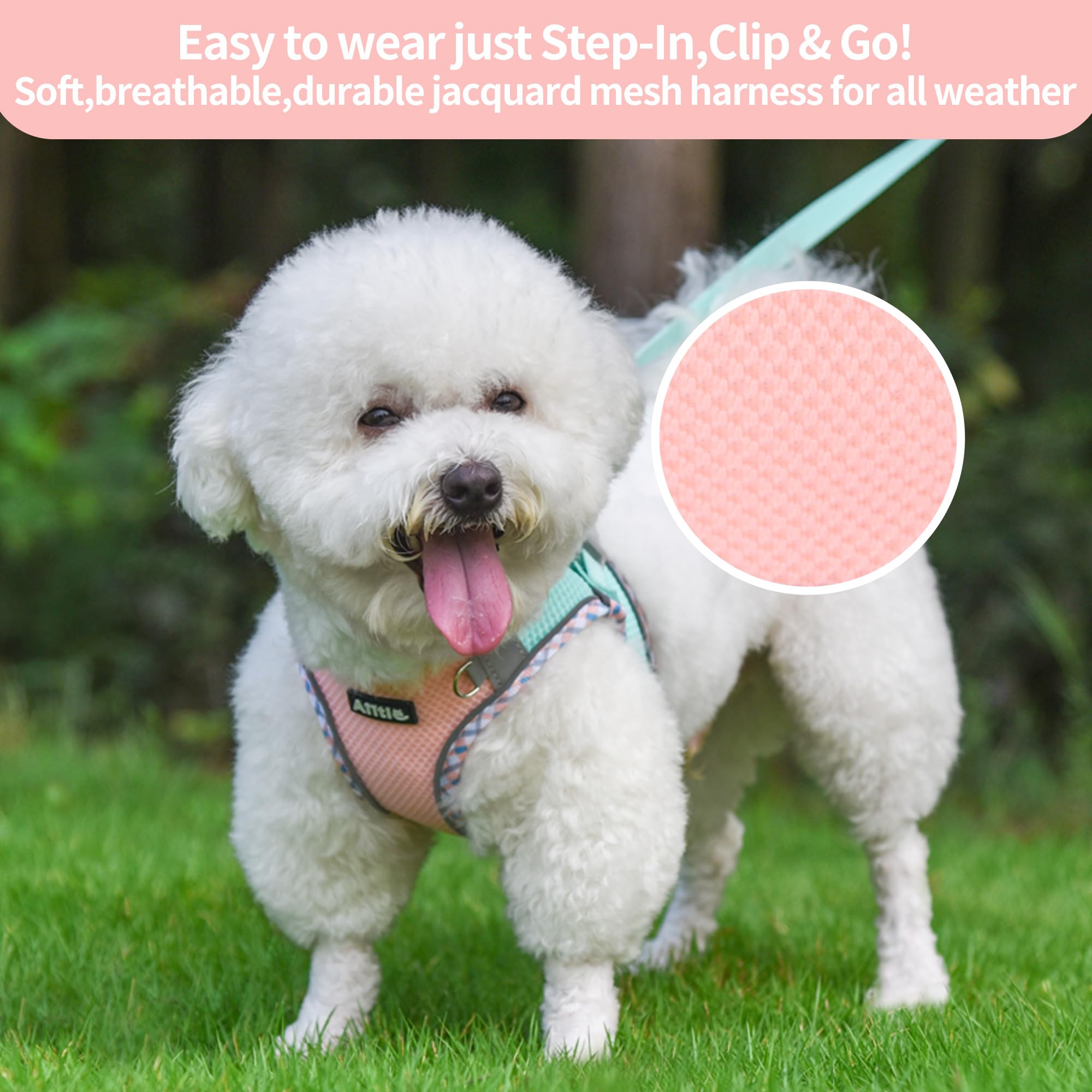 AIITLE Tiny Dog Harness - Lightweight Mesh Step-in Vest for Puppy, Reflective & Escape-Proof Design with High-Stick hook and loo