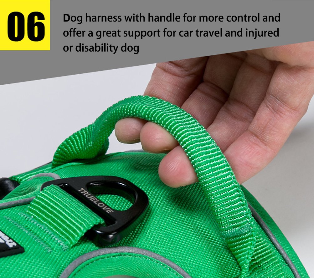 Sgoda Dog Harness, Green, Small