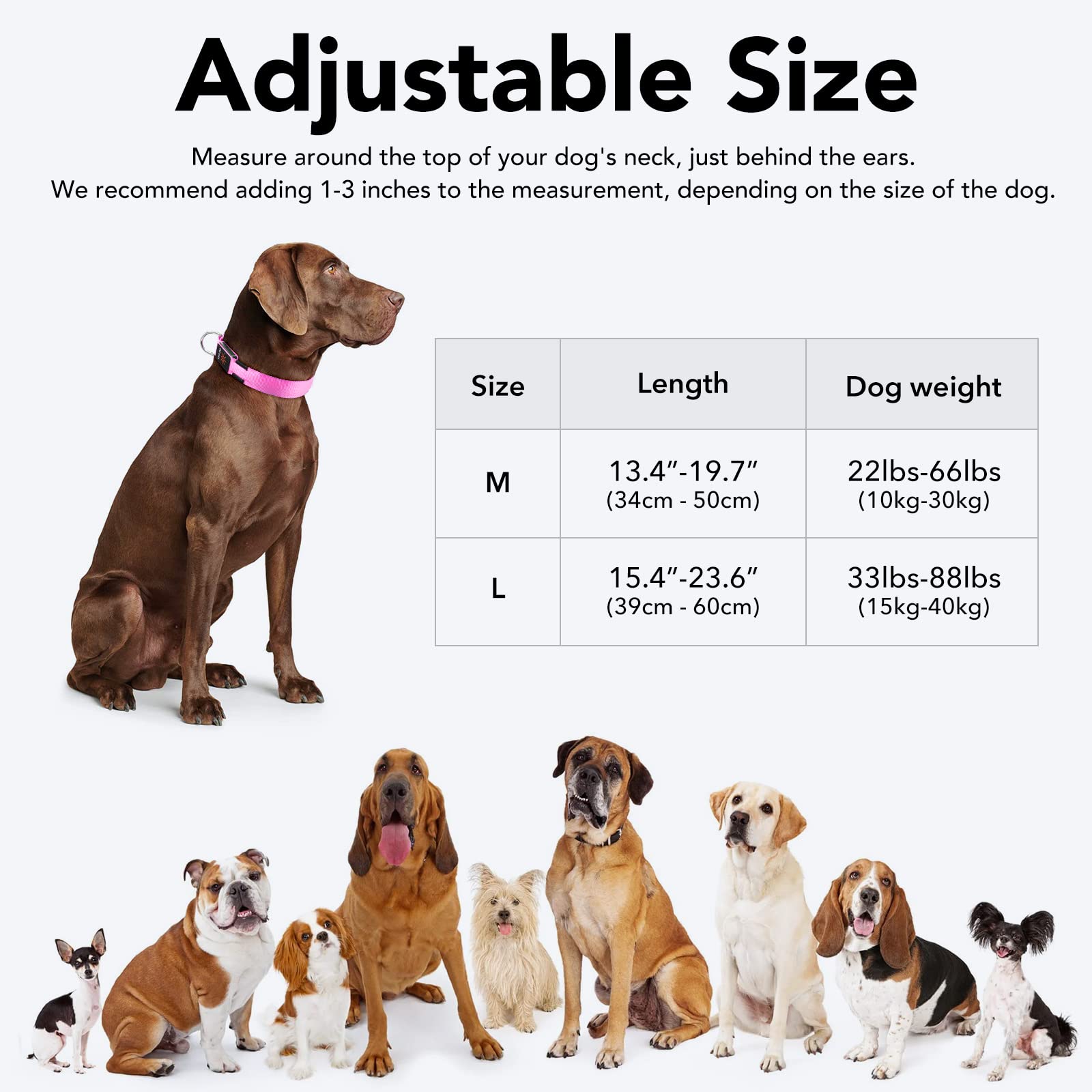 Koskill Light Up Dog Collar At Night, Led Dog Collar Adjustable, Lighted Dog Collar Rechargeable Waterproof, Dog Lights For Nigh