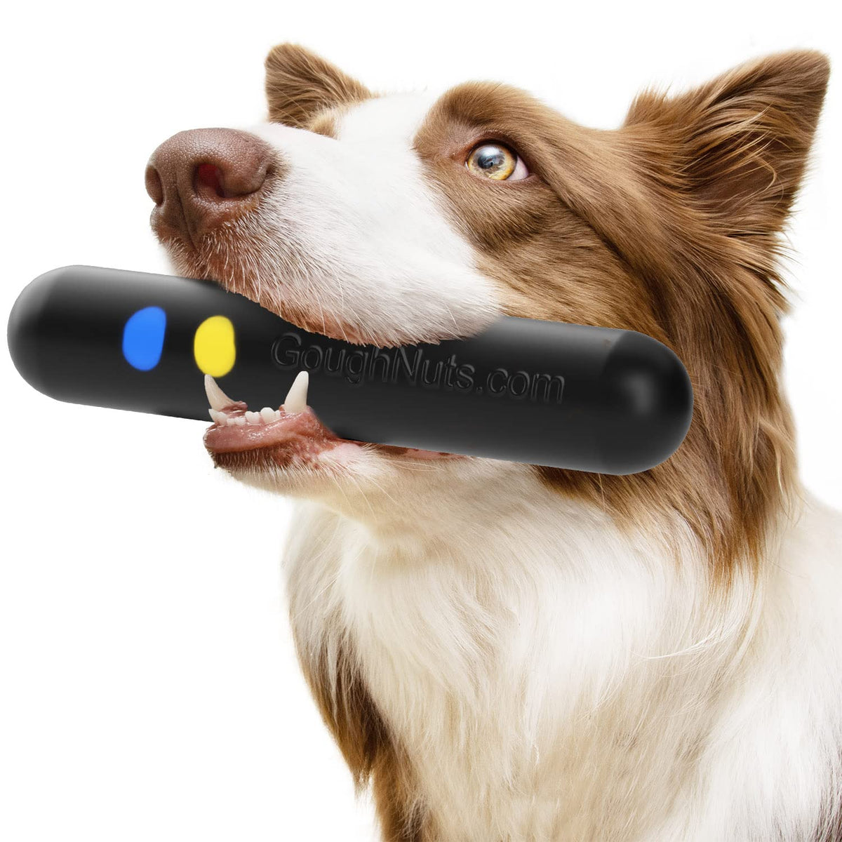 Goughnuts - Dog Toys For Aggressive Chewers | Virtually Indestructible Dog Toys For Breeds Such As Pit Bulls And German Shepherd