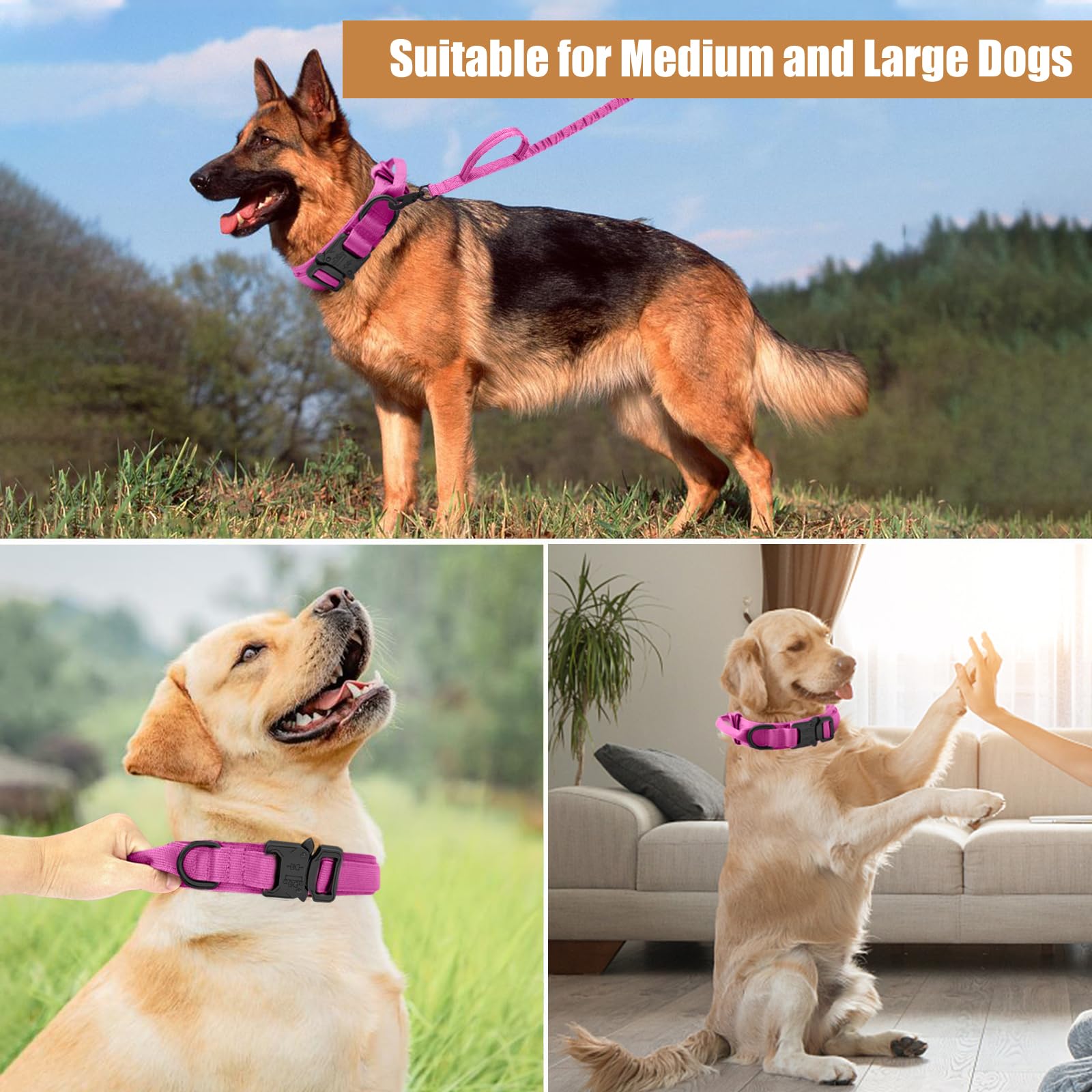Tactical Dog Collar Leash Set, Adjustable Military Training Nylon Collar Dog Training With Control Handleand Metal Buckle, Dog C