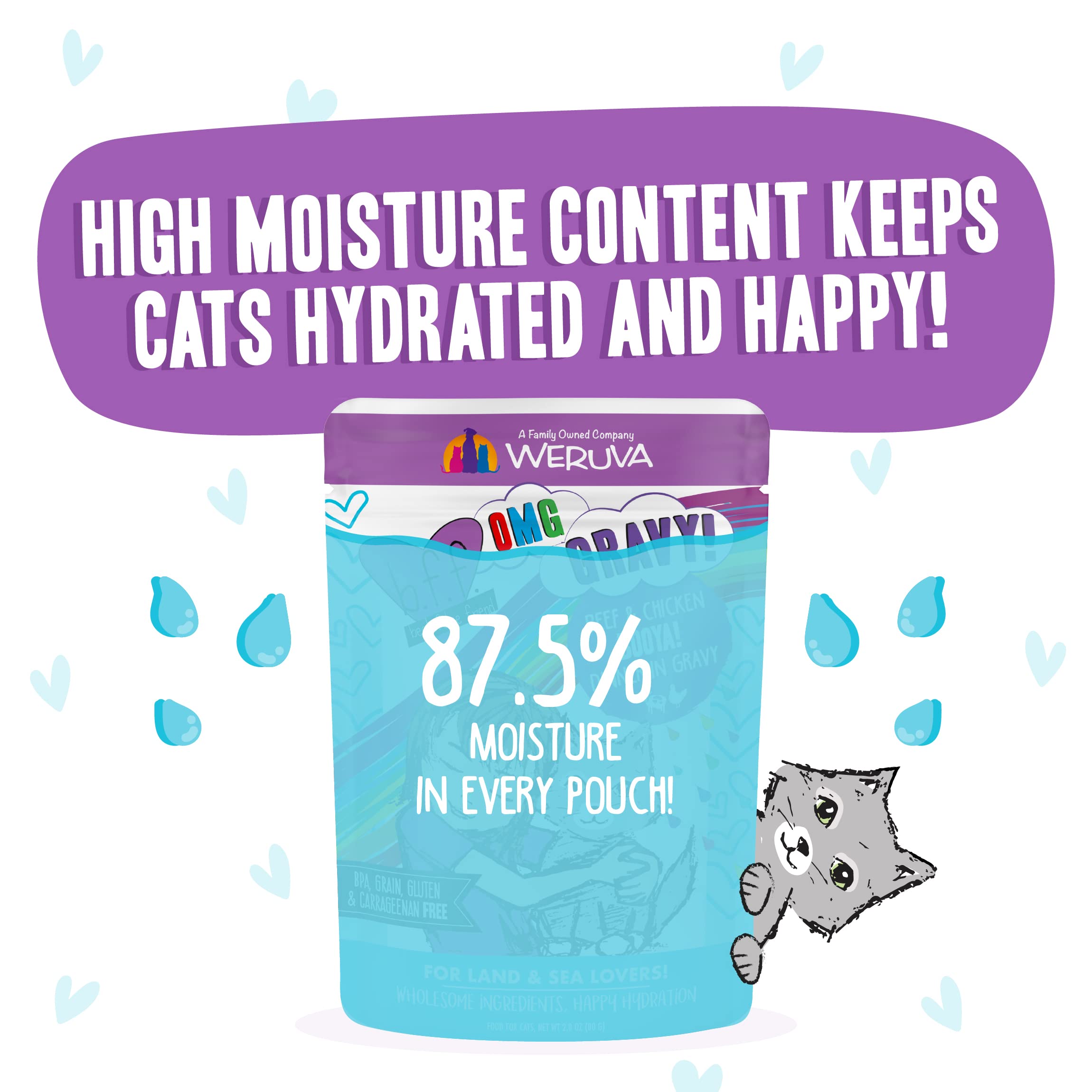 Weruva B.F.F. OMG - Best Feline Friend Oh My Gravy!, Booya! Beef & Chicken in Gravy Cat Food, 2.8oz Pouch (Pack of 12)