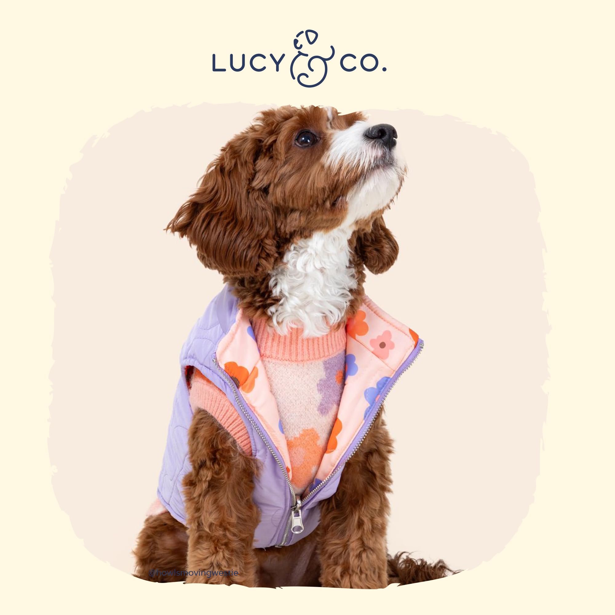 Lucy & Co. The Let'S Groove Reversible Puffer Vest (Pets) For Small Dogs, Medium Dogs And Large Dogs - Large - Purple & Coral Fl